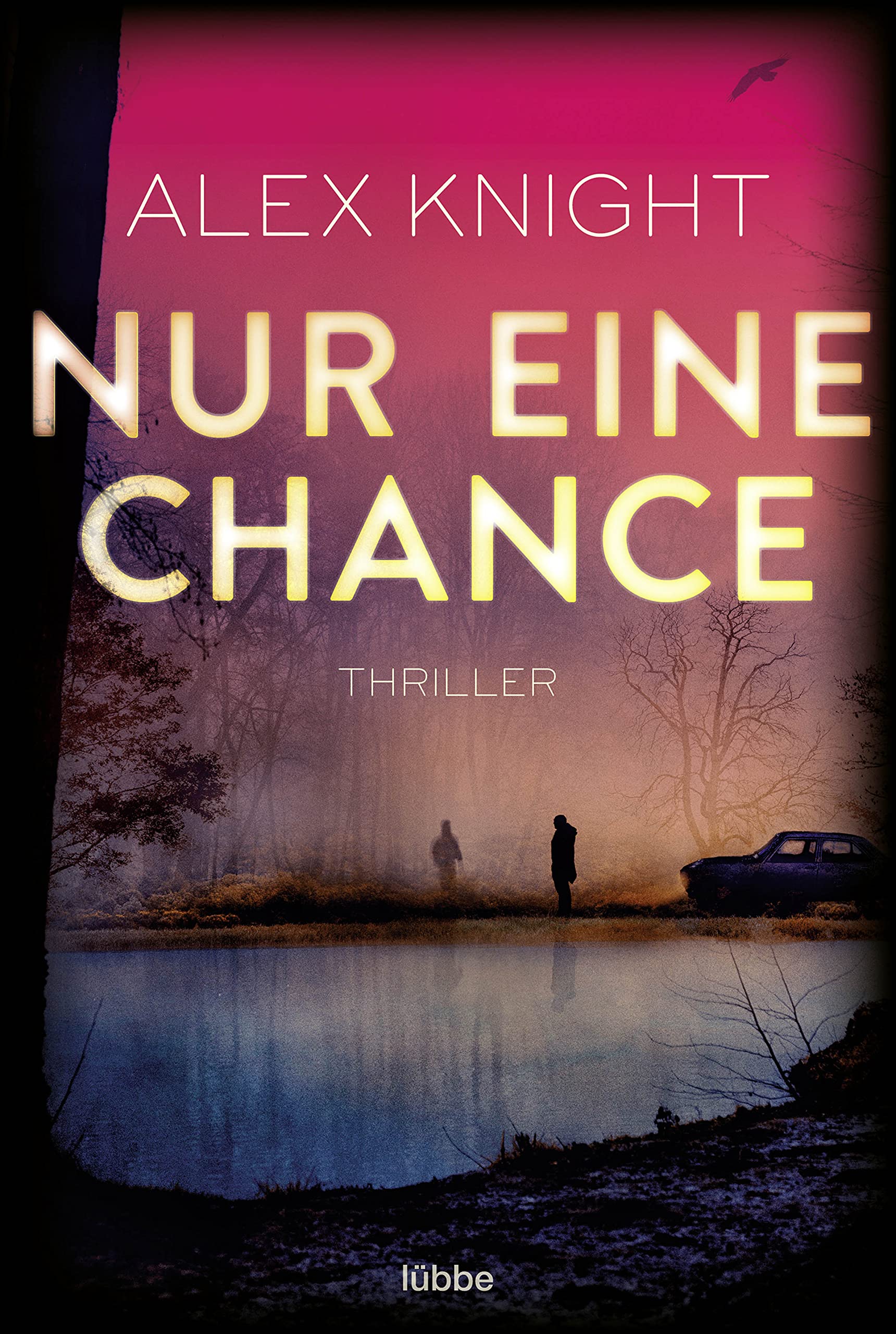 Nur eine Chance: Thriller