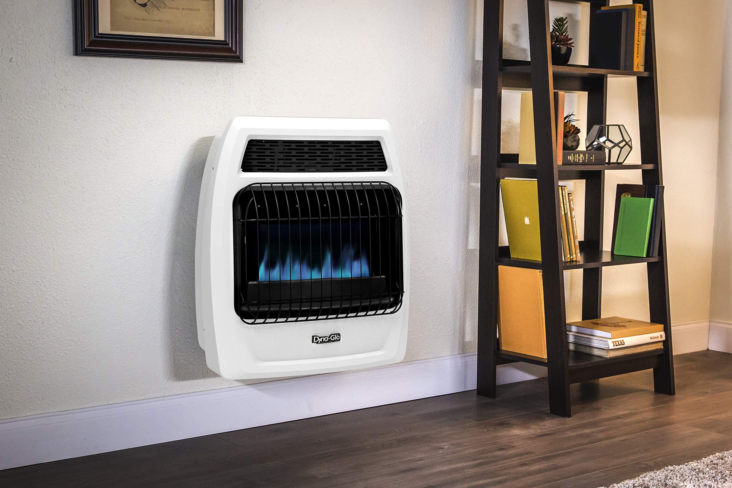 Dyna-Glo BFSS20NGT-2N 20,000 BTU Natural Gas Blue Flame Thermostatic Vent  Free Wall Heater, White : Tools u0026 Home Improvement - Amazon.com