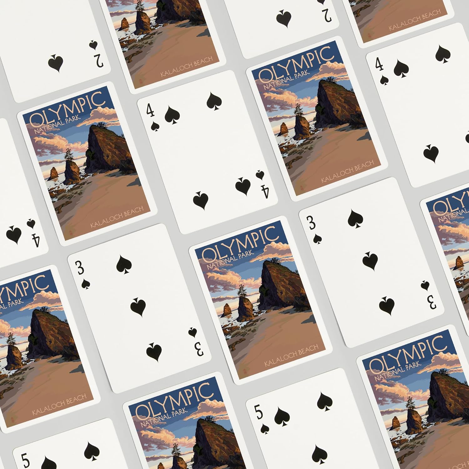 Lantern Press Olympic National Park, Washington, Kalaloch Beach, 52 Playing Cards for Adults, Poker Size Card Deck