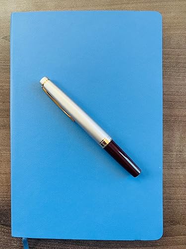 Amazon | パイロット 万年筆 エリート95S FES-1MM-DR-F 細字 ディープ