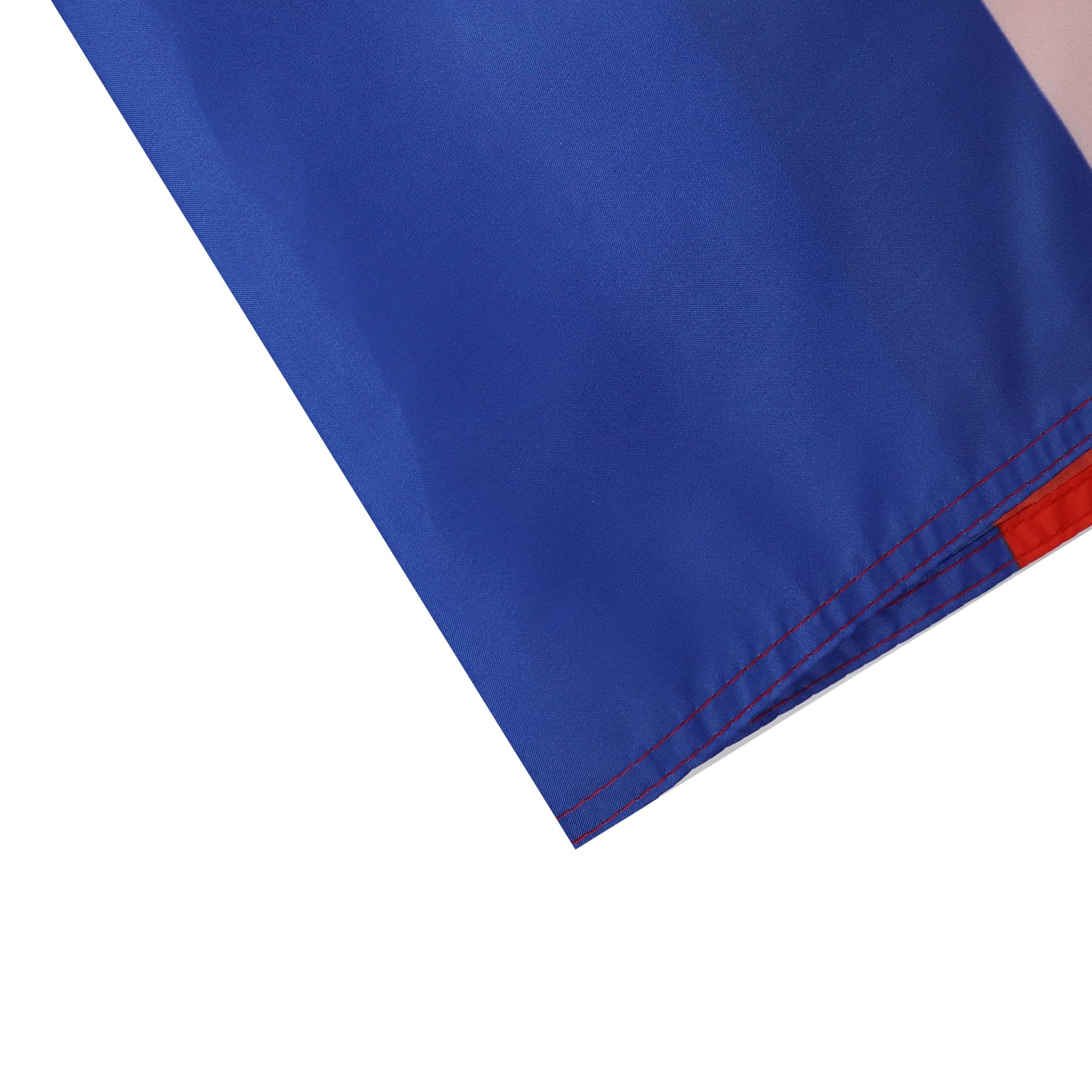 AZ FLAG - Guirlande Drapeau Russie avec aigle - 6 Mètres Avec 20