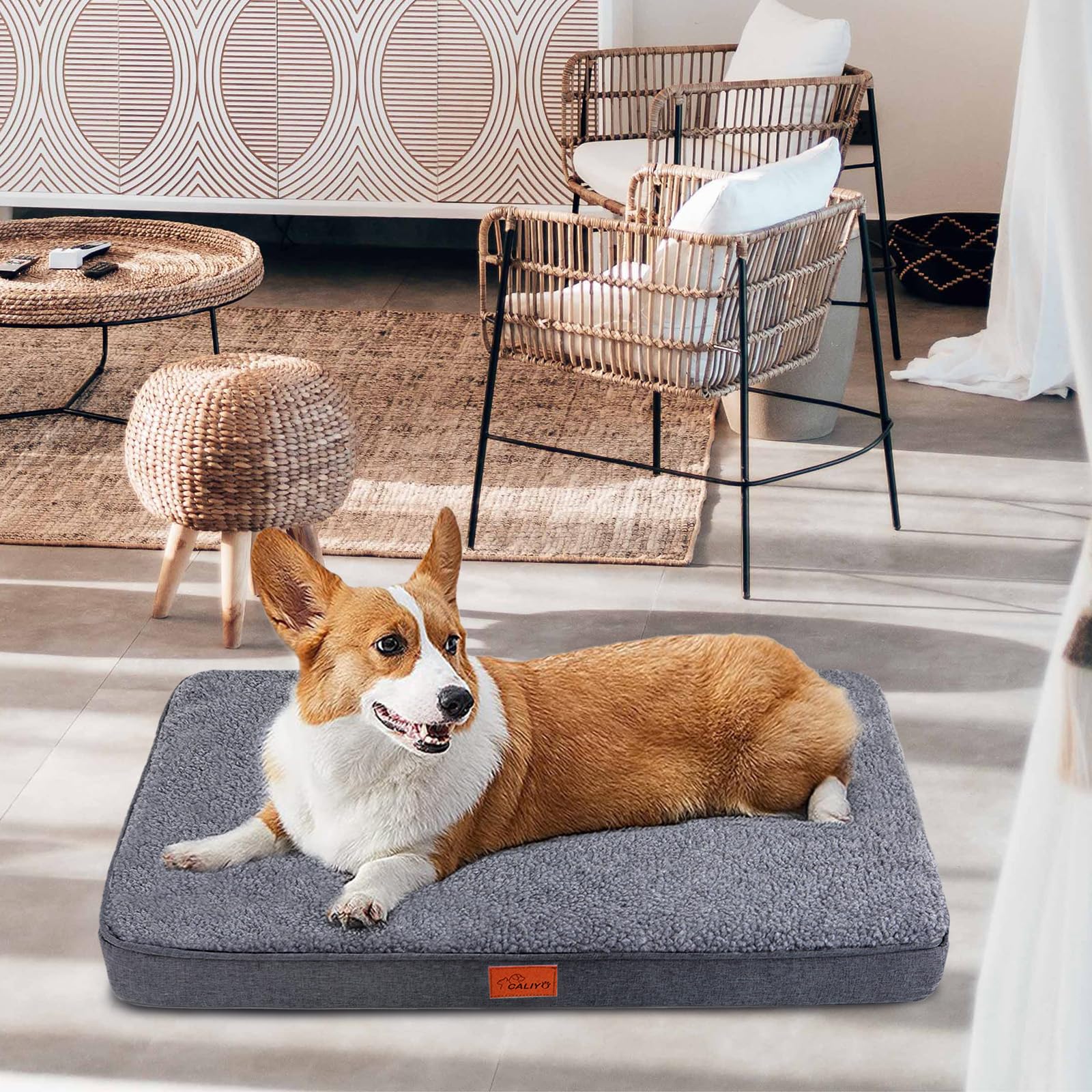 CALIYO Cama ortopédica para perros, cojín para perros pequeños, 76 × 51 × 7,6 cm, alfombrilla para perros lavables, espuma viscoelástica para perros pequeños (gris oscuro)