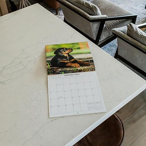Miniatura 6 de Rottweiler - Calendario mensual de pared colgante 2024  12 x 24 pulgadas  Calendario para perros 2024 de papel grueso y resistente