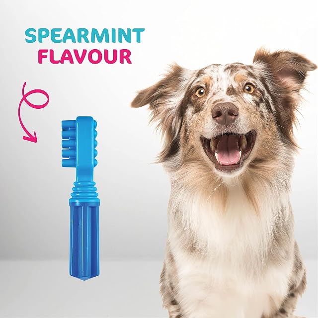 Foto 5 de 7 de Tasty Bone TastyBrush - Juguete Dental de Nailon para Masticar para Perros (hierbabuena), Dientes y encías…