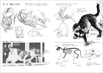動物を描く 81OUa8y5HCS._UF350,350_QL80_.jpg