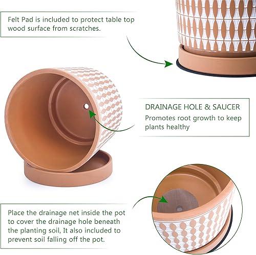 Miniatura 24 de D'vine Dev Juego de 2 macetas de terracota, 4 y 6 pulgadas, macetas para plantas con agujeros de drenaje y platillos, color rojo y negro, 31-958-B-2