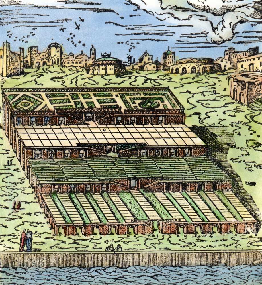 Amazon.com: Babylon Hanging Gardens Nthe Hanging Gardens Of