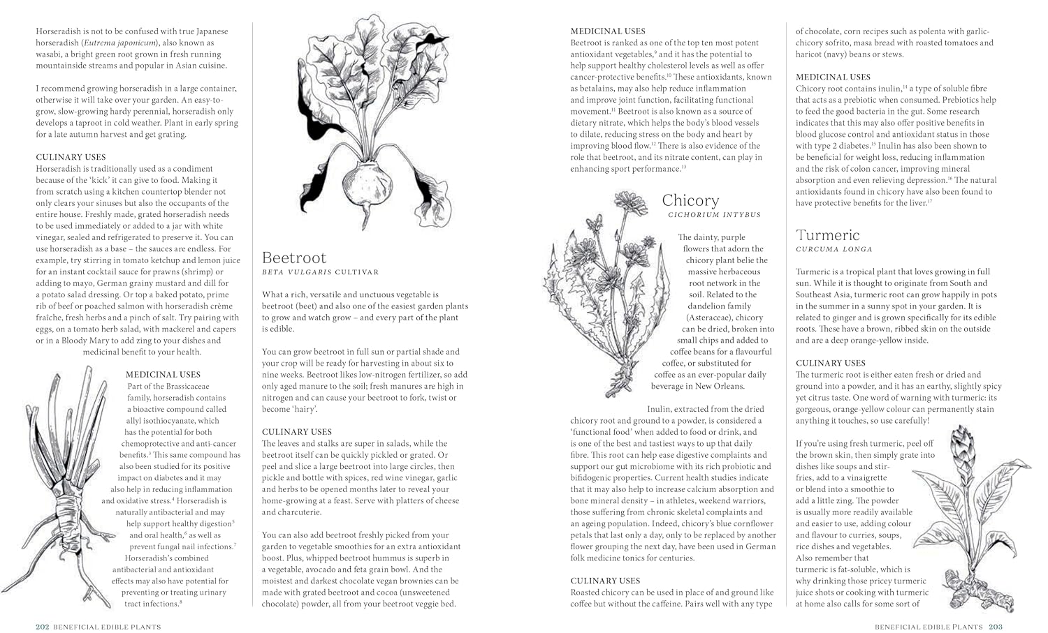 The Apothecary Chef: Recipes with Beneficial Herbs & Plants for a Long and Healthy Life