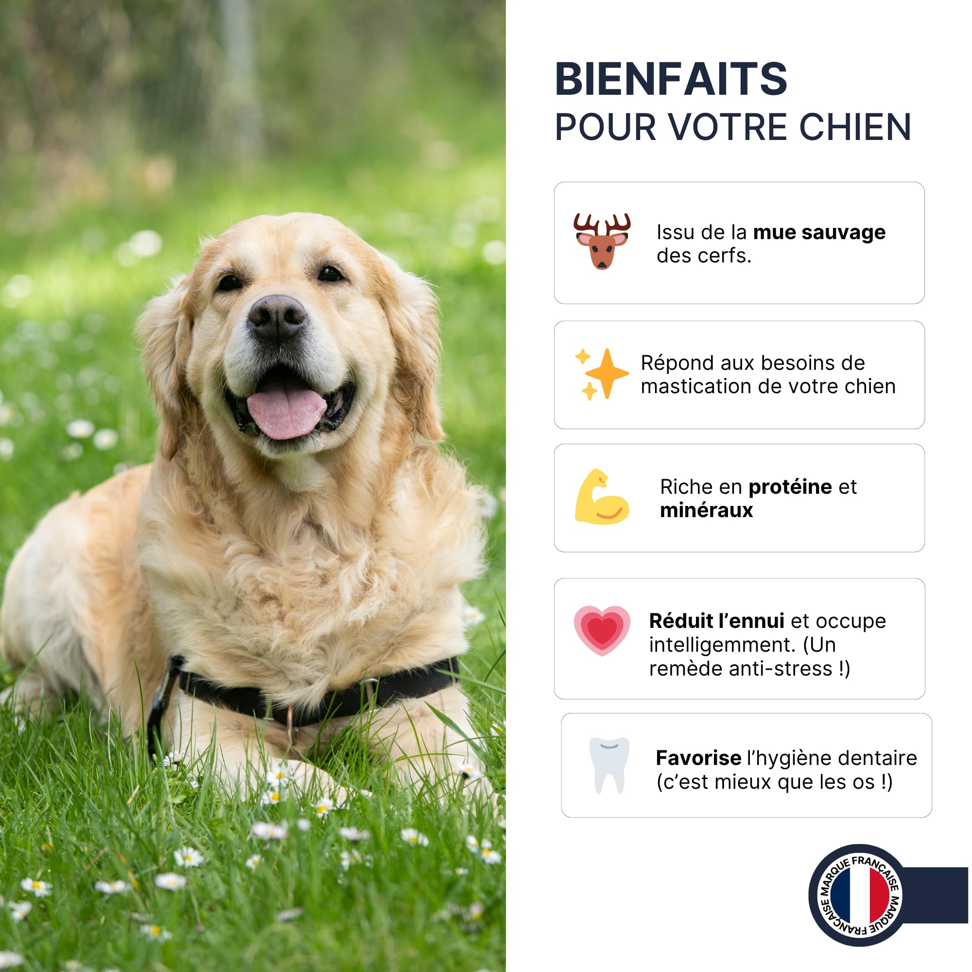 Bois de Cerf Fendu pour Chien, friandise à mâcher Naturelle Longue durée, Soin Dentaire mécanique, Occupation & Plaisir, 100% Bois de cerf (XL)