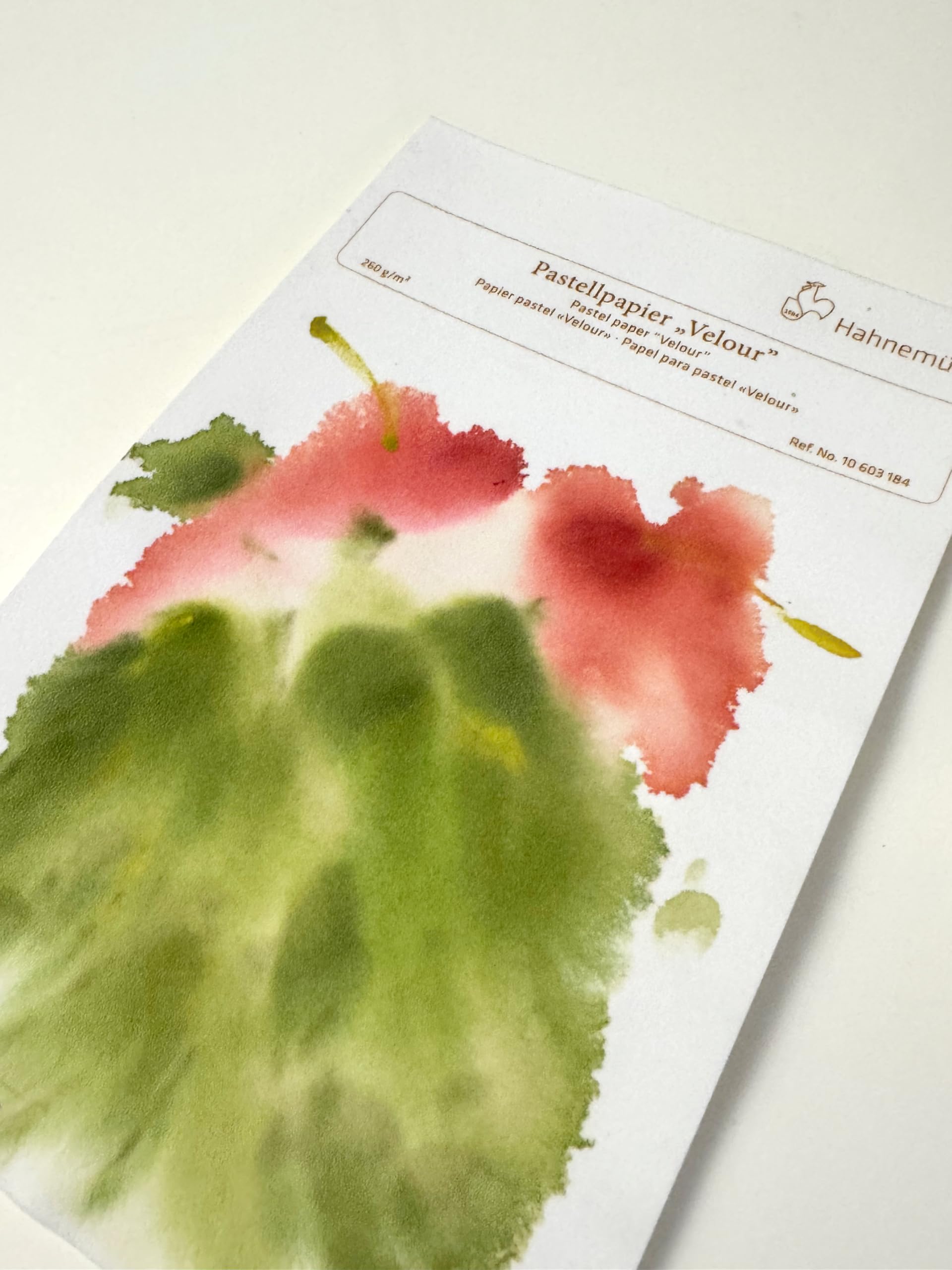 Hahnemuhle : Velour - Carta per pastelli, 24 x 32 cm, 260 g/m²