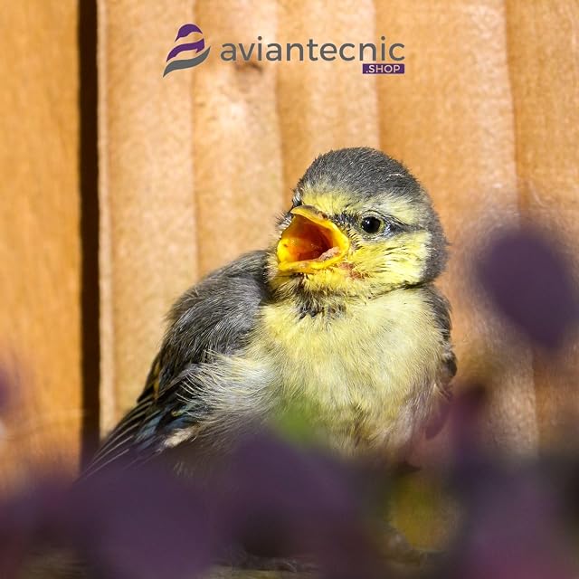 Foto 4 de 4 de Aviantecnic Papilla Embuche Silvestres