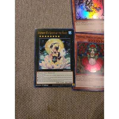 yugioh plant princess deck Amazon.com: Complete Custom Deck for Yu-Gi-Oh!