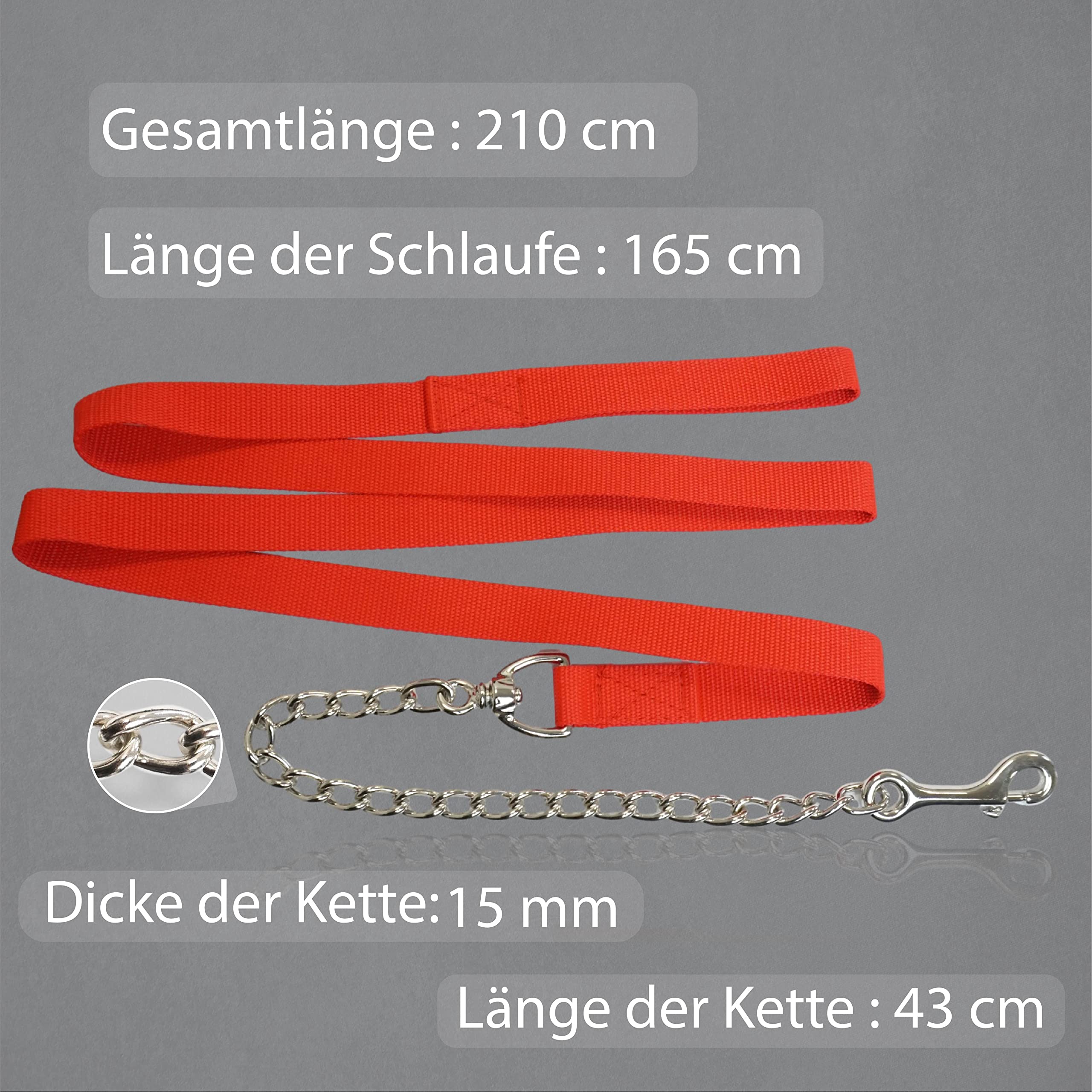 Catena di guida per cavalli | guida sicura con catena di ferro e manico in nylon | Guinzaglio adatto per stalloni cani pony asini | Lunghezza 2,10 m (rosso)