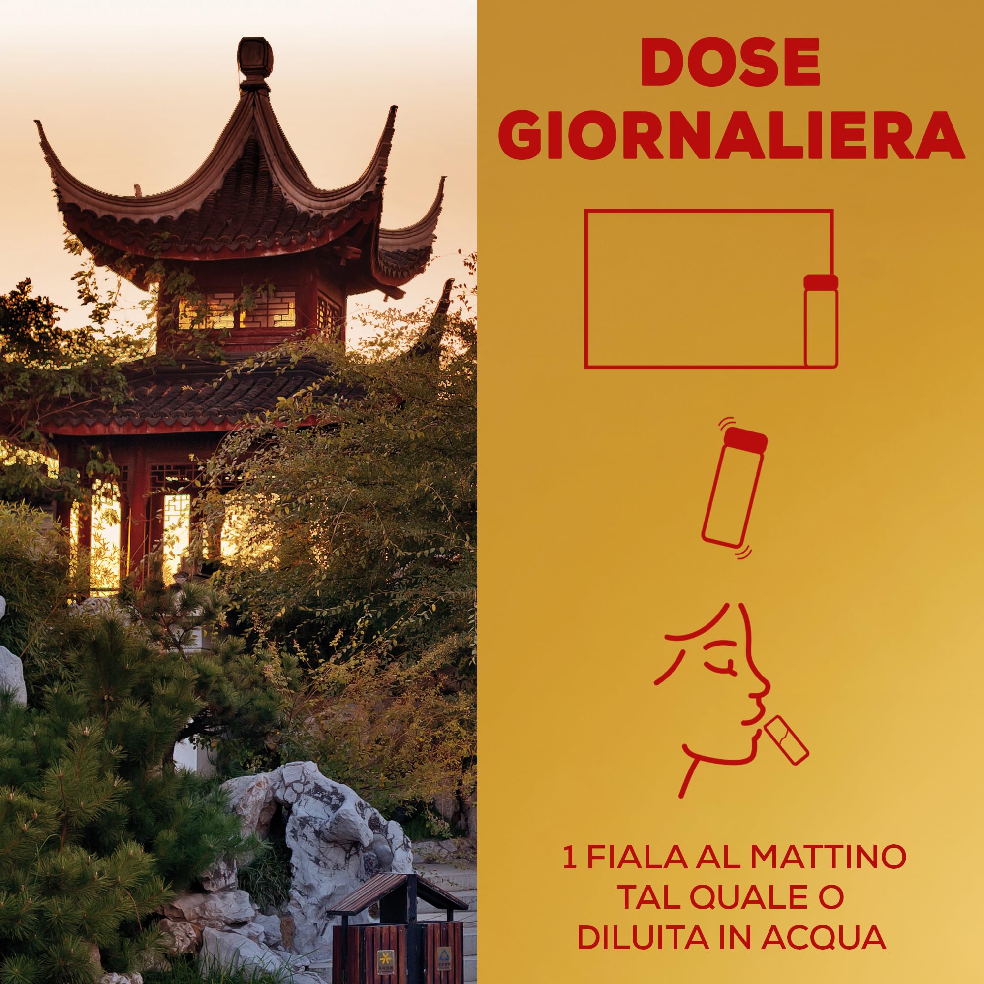 Matt Rimedi d'Oriente, Ginseng Alta Concentrazione, Integratore Alimentare Utile per Stanchezza Fisica e Mentale, con Proprietà Tonico Adattogene, Confezione da 8 Fiale da 10 ml, Prodotto in Italia