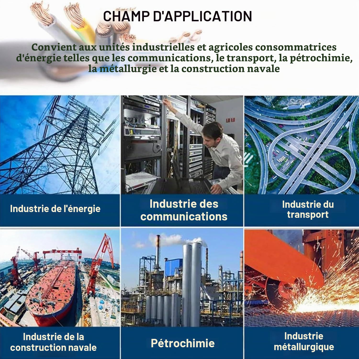 Qiang Coupe Câble Électrique À Cliquet,Coupe Câble à Batterie,Coupe Câble Hydraulique avec 2 Batteries 18 V 4,0 Ah Outil Coupe Fil électrique pour câble blindé en cuivre Al,75mm