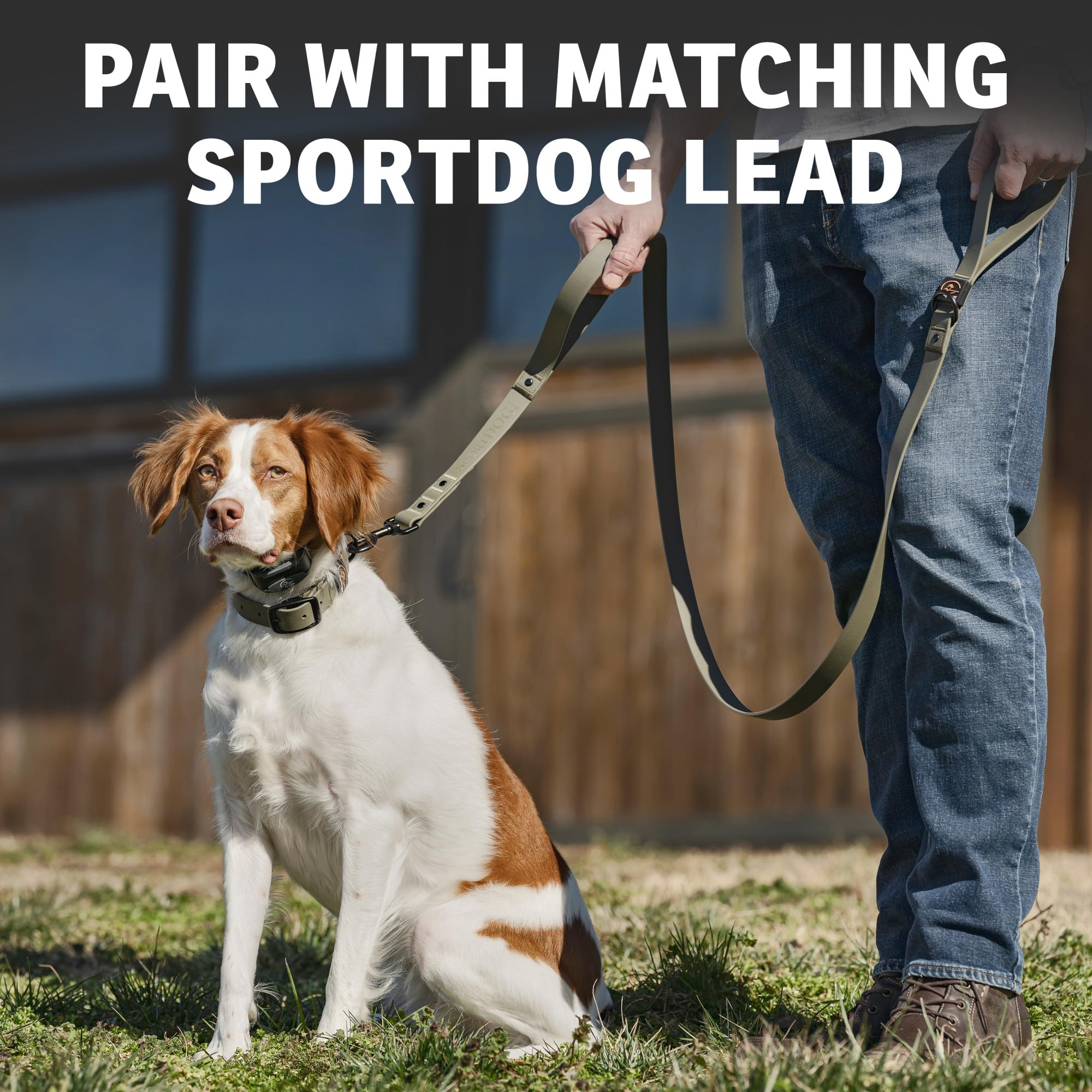 SportDOG Robusto collare multiuso – impermeabile e antiodore – Materiale morbido al tatto di alta qualità – hardware resistente e resistente – cinturino in silicone – arancione – M