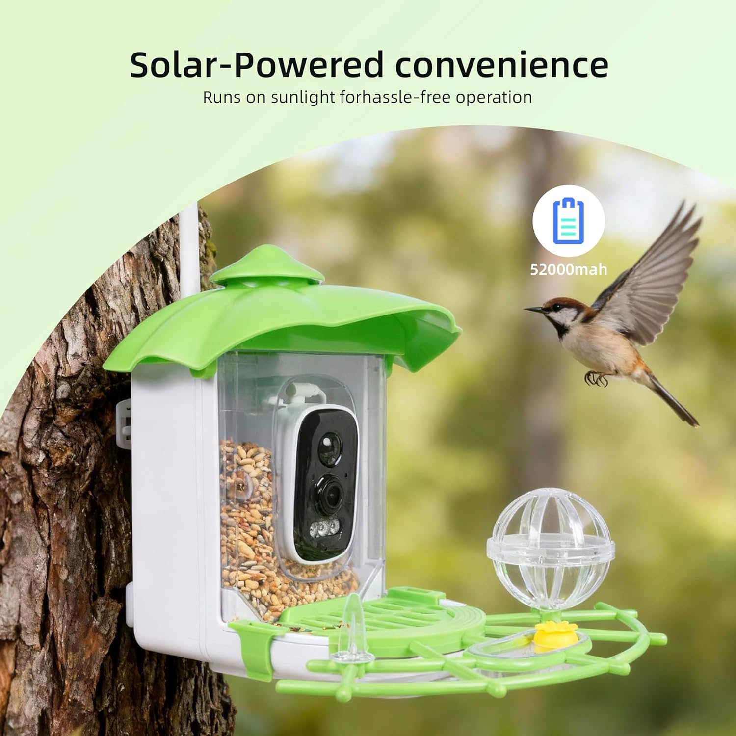 Bird Feeder with Camera,AI Identify Birds Species,Solar Powered,Auto Record Videos in Backyard,Instant Notifications,Ideal Gift for Family and Bird Lovers (Green)