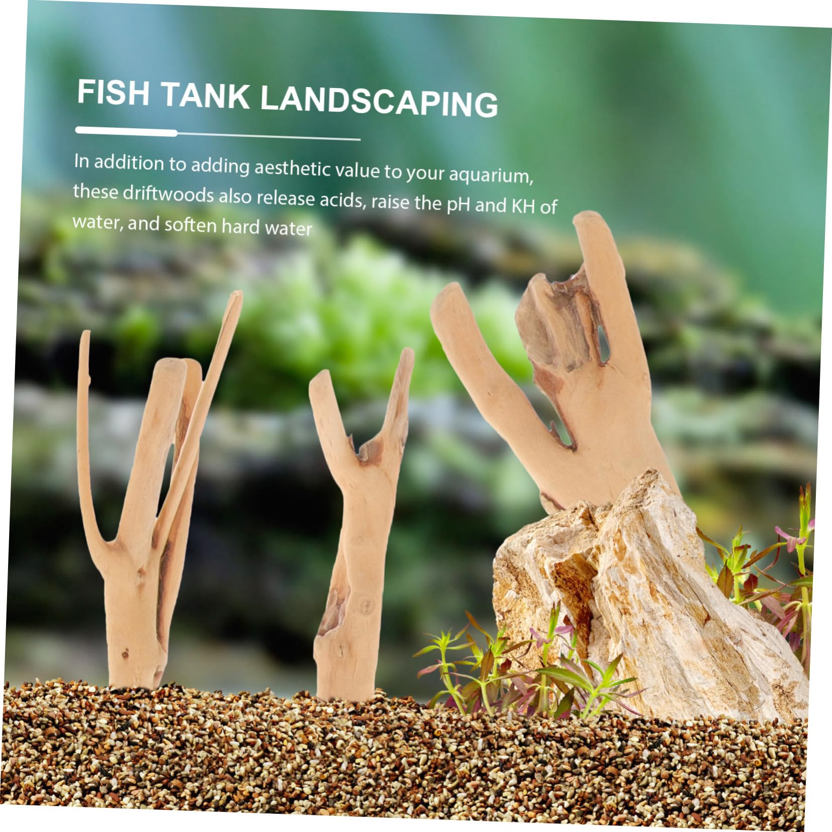 CIYODO 10pcs Natural Fish Tank Driftwood Aquarium Driftwood Decor Real Driftwood Branch for Aquarium Decor