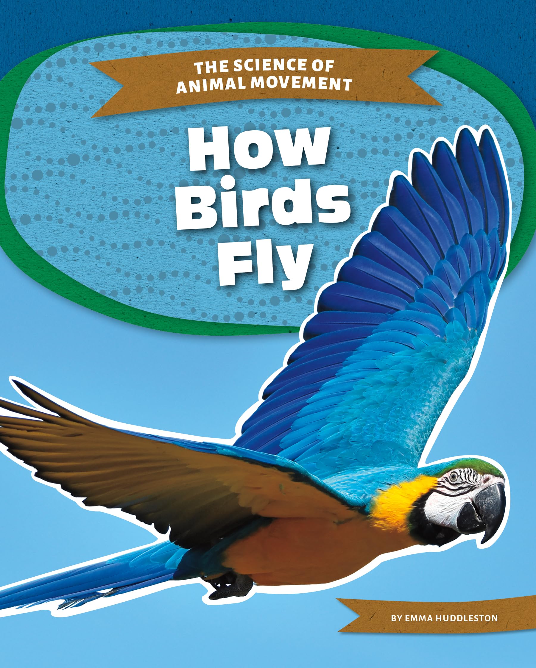 Buy How Birds Fly (Science of Animal Movement) — BookShops.in