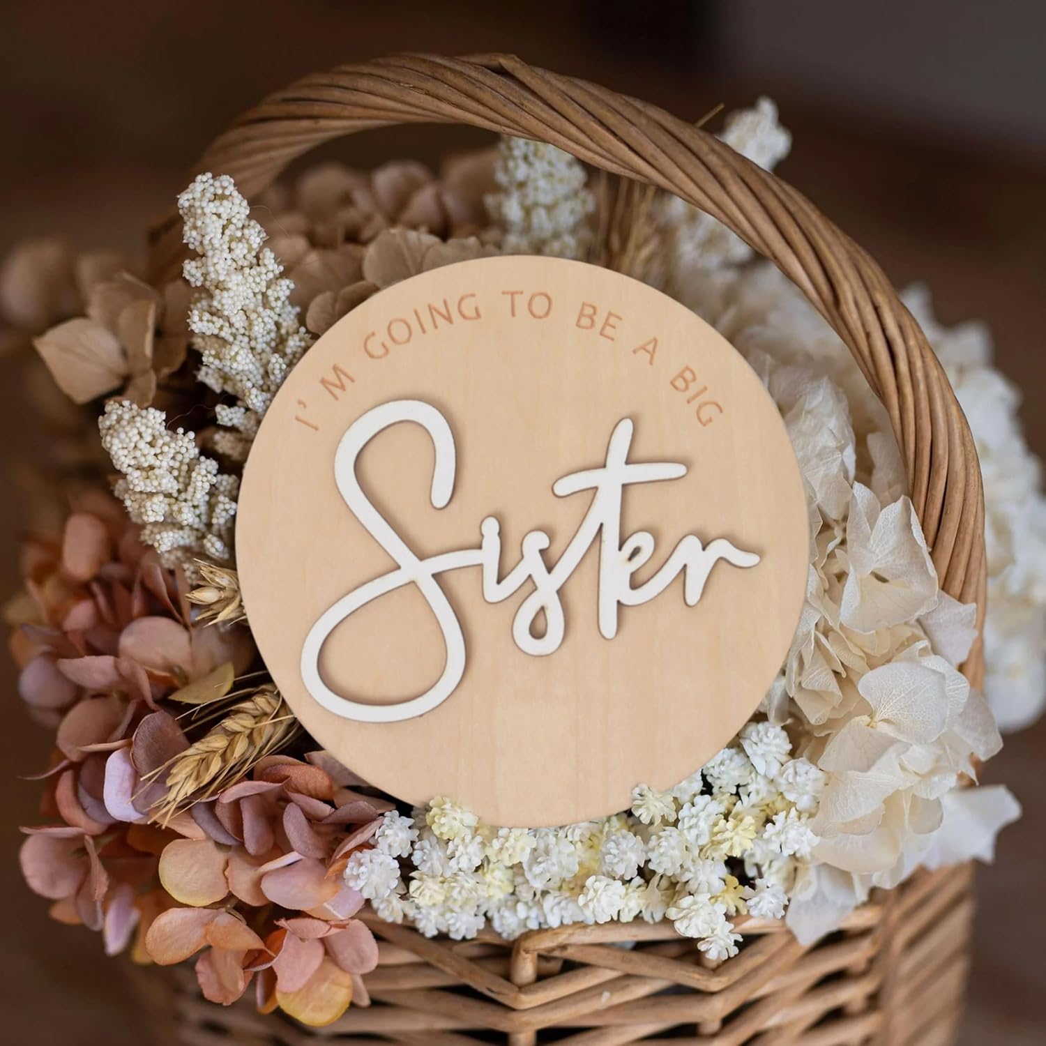 Personalized Baby Announcement Plaque，Baby Boy/Girl Nursery Wooden Sign，Gender Reveal Party Decorations，Baby Birth Announcement Sign，Baby Shower Nursery Gift Plaque (Sister)
