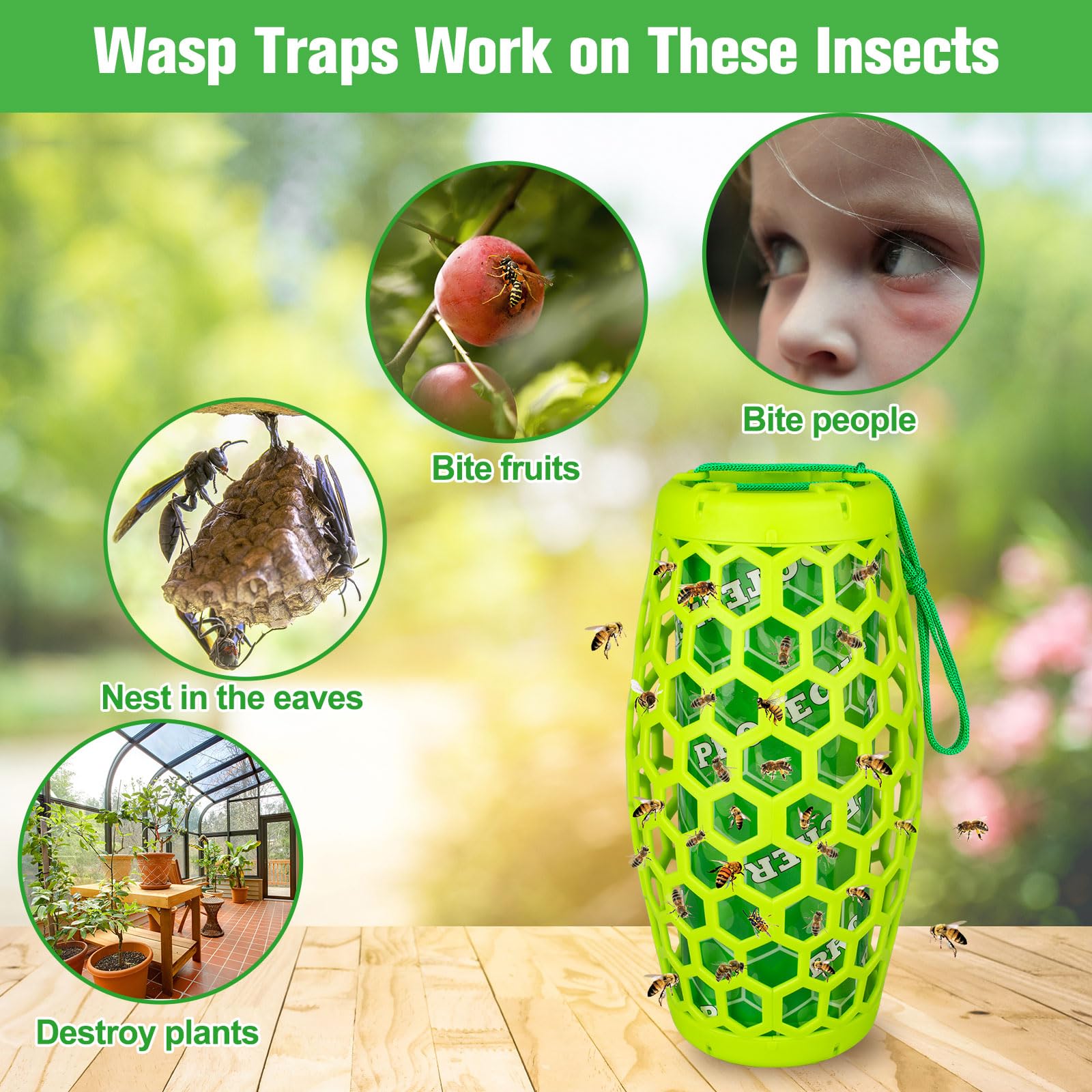  Wasp Traps Outdoor Hanging, Wasp Trap Bee Traps Catcher,  Effective Insect Trap,Carpenter Bees, Sticky Wasp Trap for Indoor/Outdoor,  Red Wasp & Paper Wasps-2 Pack 4 Sticky Boards(Green) : Patio, Lawn & Garden