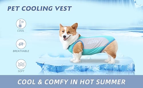 Dog Cooling Vest Instant Cooling T-Shirts For Summer Evaporative Microfiber Sun Protection Jacket Lightweight For Walking, Running High Visibility For Outdoor Activity (Xxxl, Blue) #TOP4