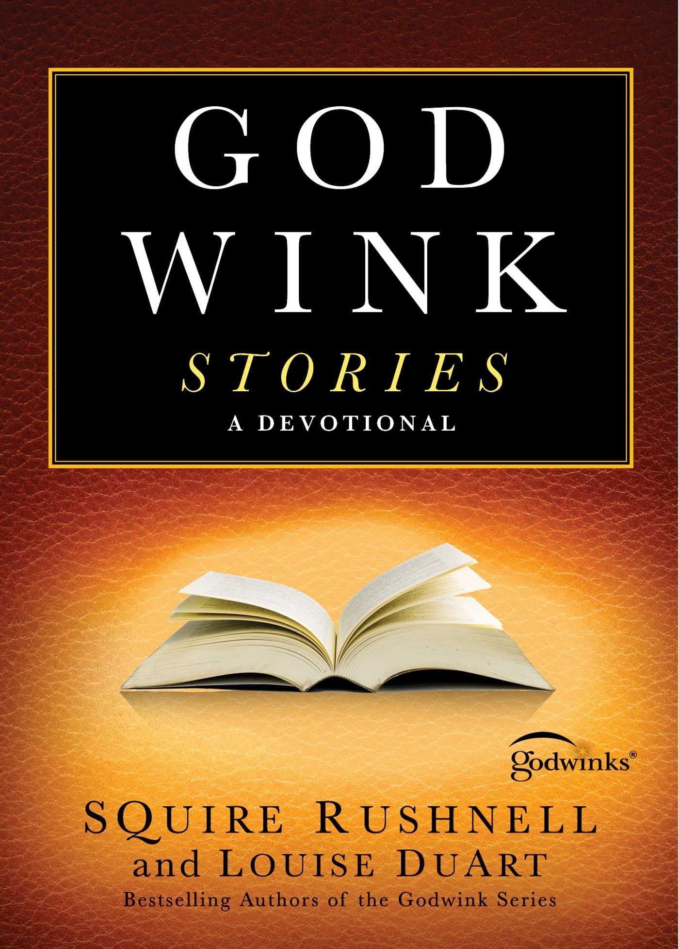 Godwink Stories: A Devotional (3) (The Godwink Series)
