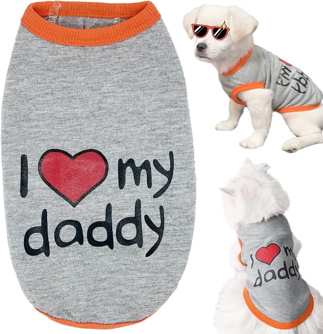 boy dog clothes
