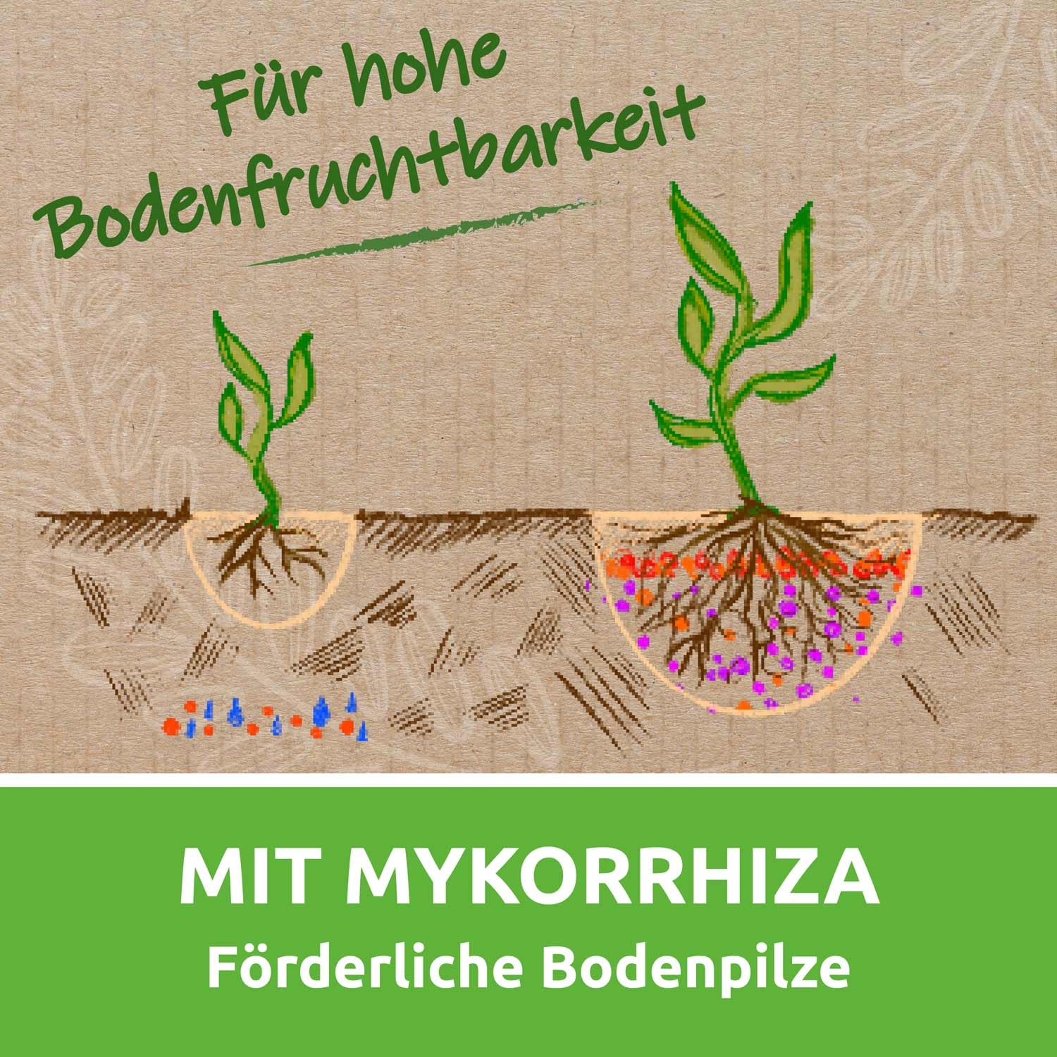 EM-Chiemgau® Rasen-Rainer – Organischer Bio Rasendünger mit Mykorrhiza & Pflanzenkohle – Langzeitdünger für dichten, grünen Rasen – Bodenaktivator mit Effektiven Mikroorganismen – 7 kg