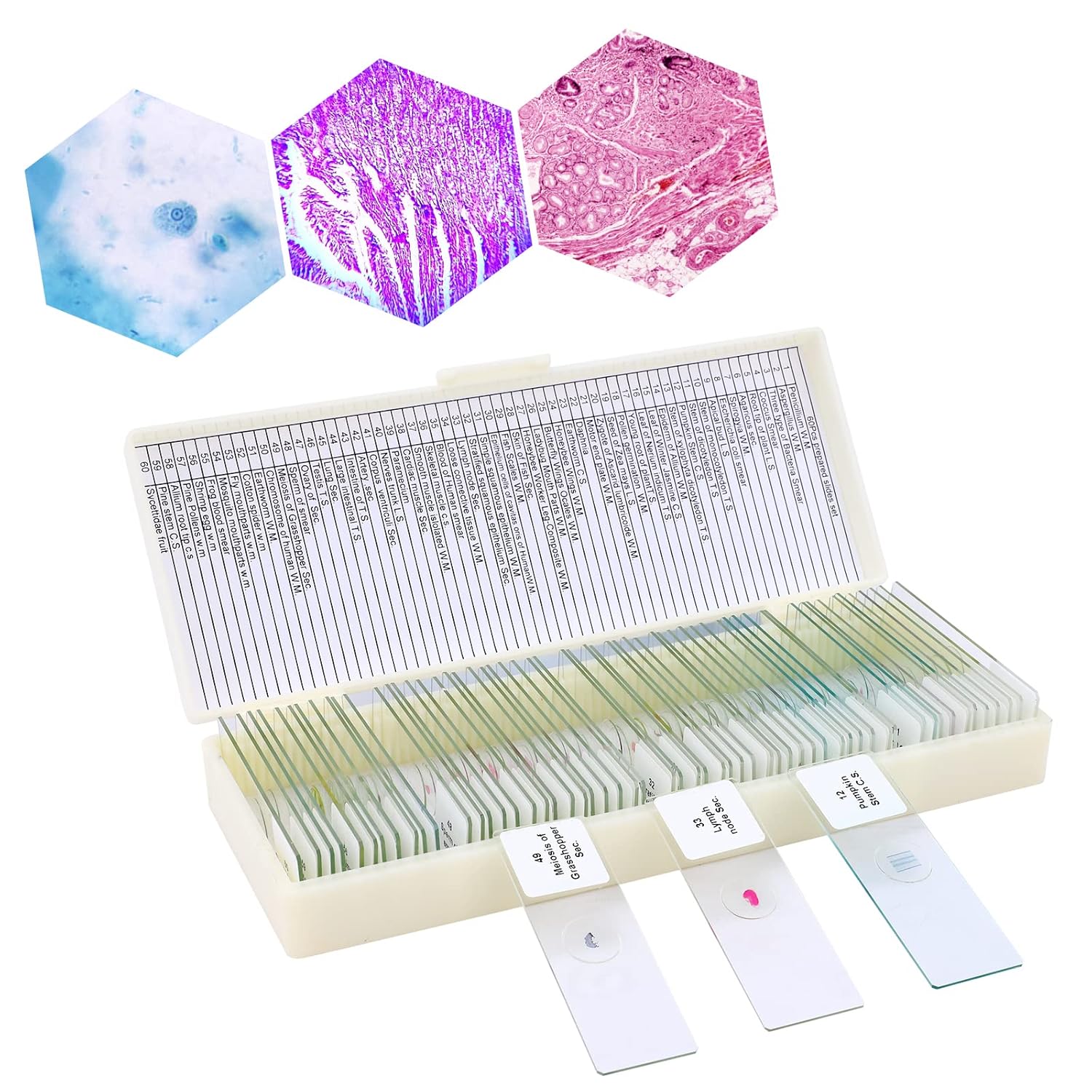 60pcs Prepared Microscope Slides Set with Specimens, Microscope Slide