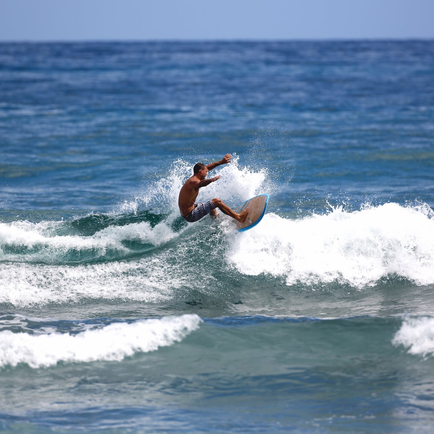 Amazon | NSP 2016 SURFBOARD COCOMAT FISH 6'0