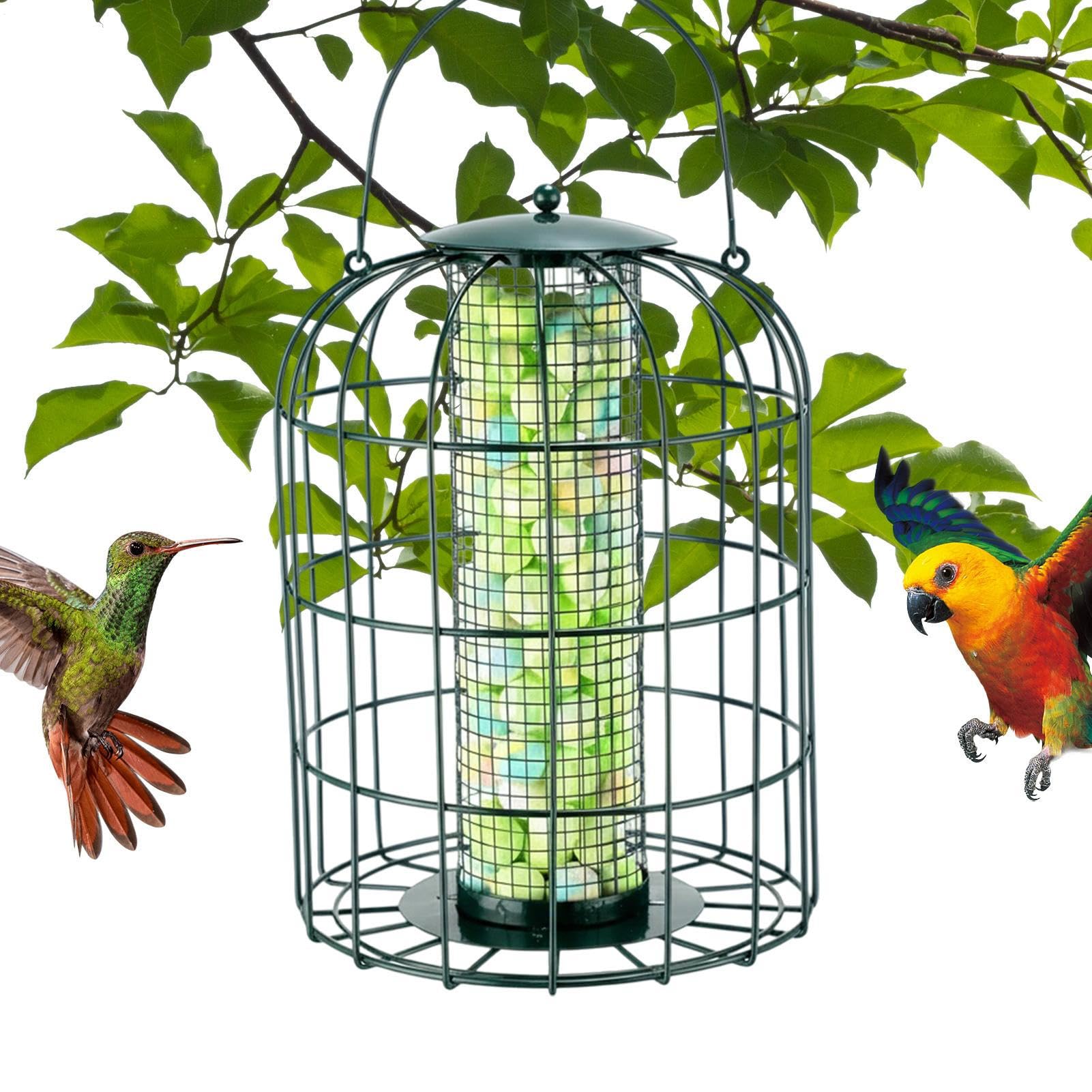 Mangeoire à oiseaux anti-gros oiseaux avec cage métallique robuste pour préserver les graines