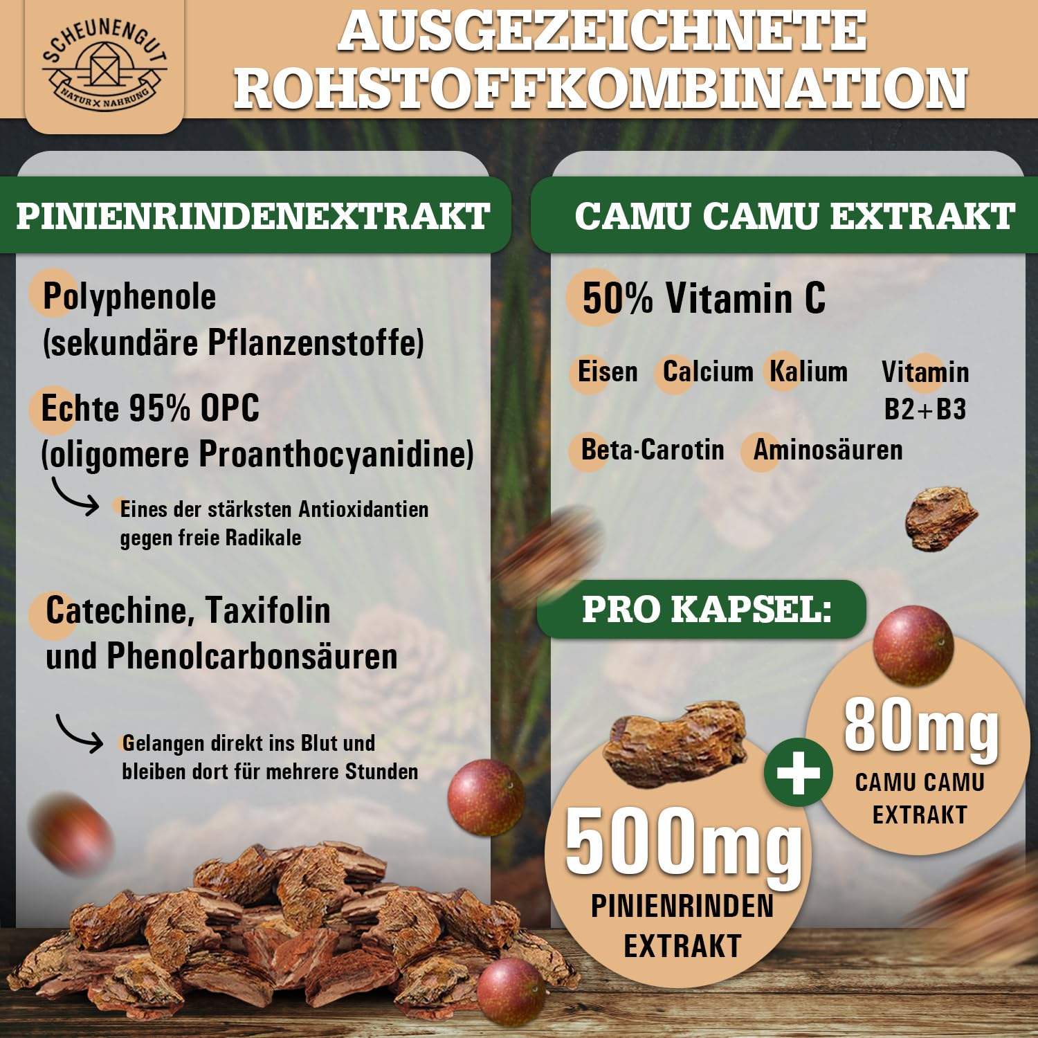 Pinienrindenextrakt -475mg OPC je Kapsel- WICHTIG: 25:1 Extrakt (=14500mg Französische Meereskiefer je Dosis) +Vitamin C I 150 Kapseln mit 95% OPC I Laborgeprüft -DE- SCHEUNENGUT®