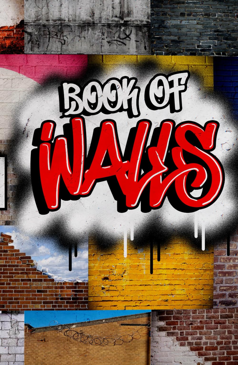 Livre de graffiti et decors urbains pour dessiner des fresques a la maison
