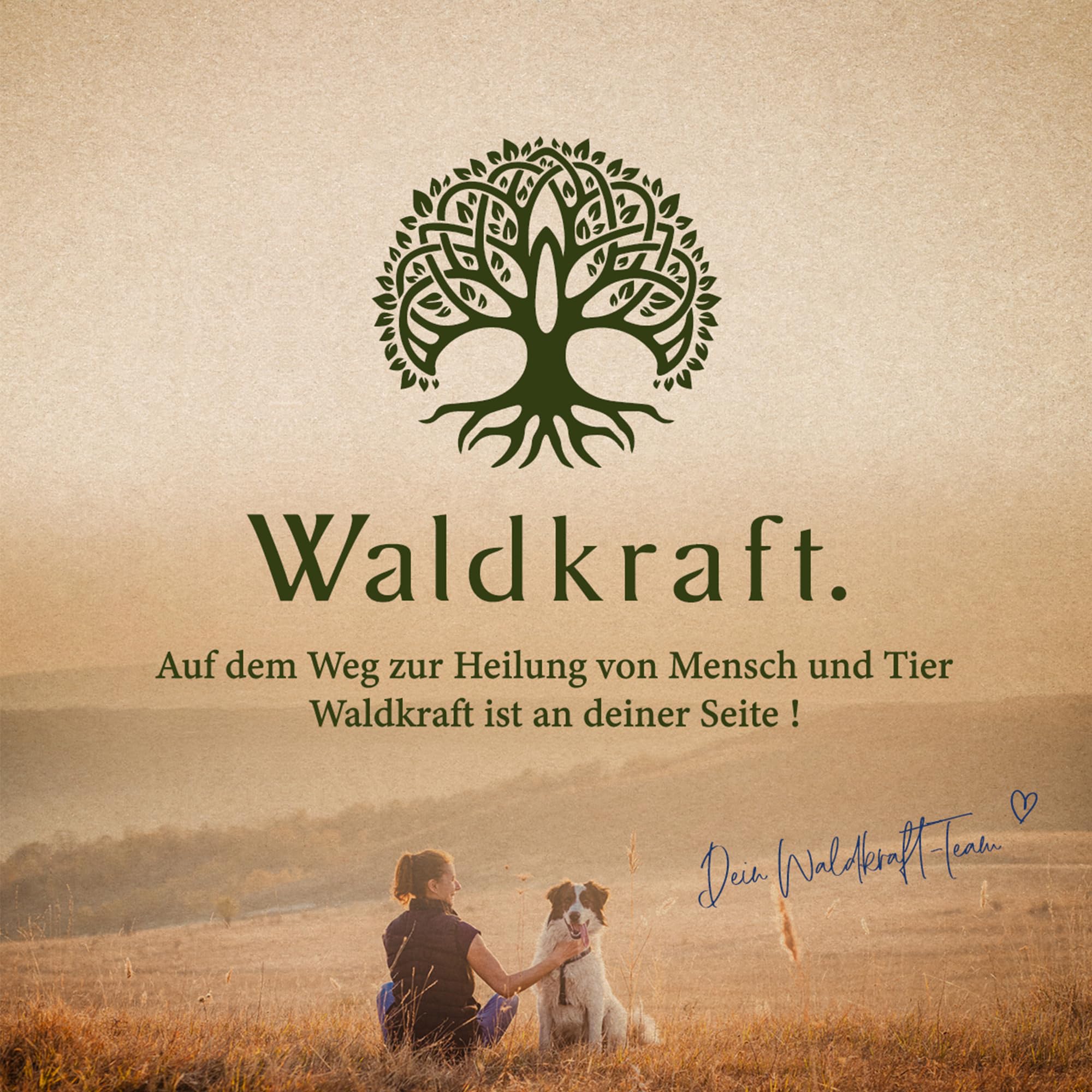 Waldkraft D-Mannose Pulver | 99% ig reine D-Mannose aus Früchten | Ohne Zusatzstoffe & vegan | In praktischer Pulverform | Ohne Zusätze | 300 g im Braunglas