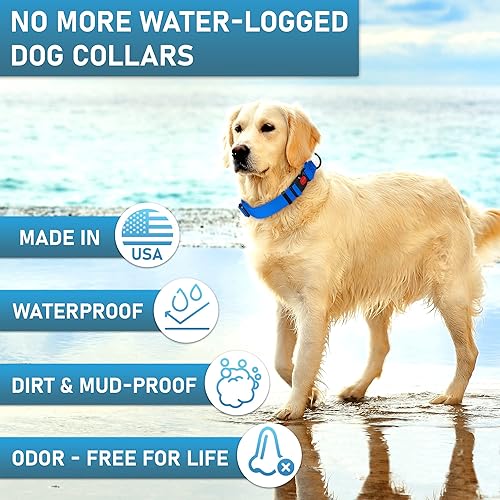 Miniatura 2 de Collar de perro ajustable con código QR identificación adjunta, fabricado en Estados Unidos, collar de perro resistente al agua con hebilla de