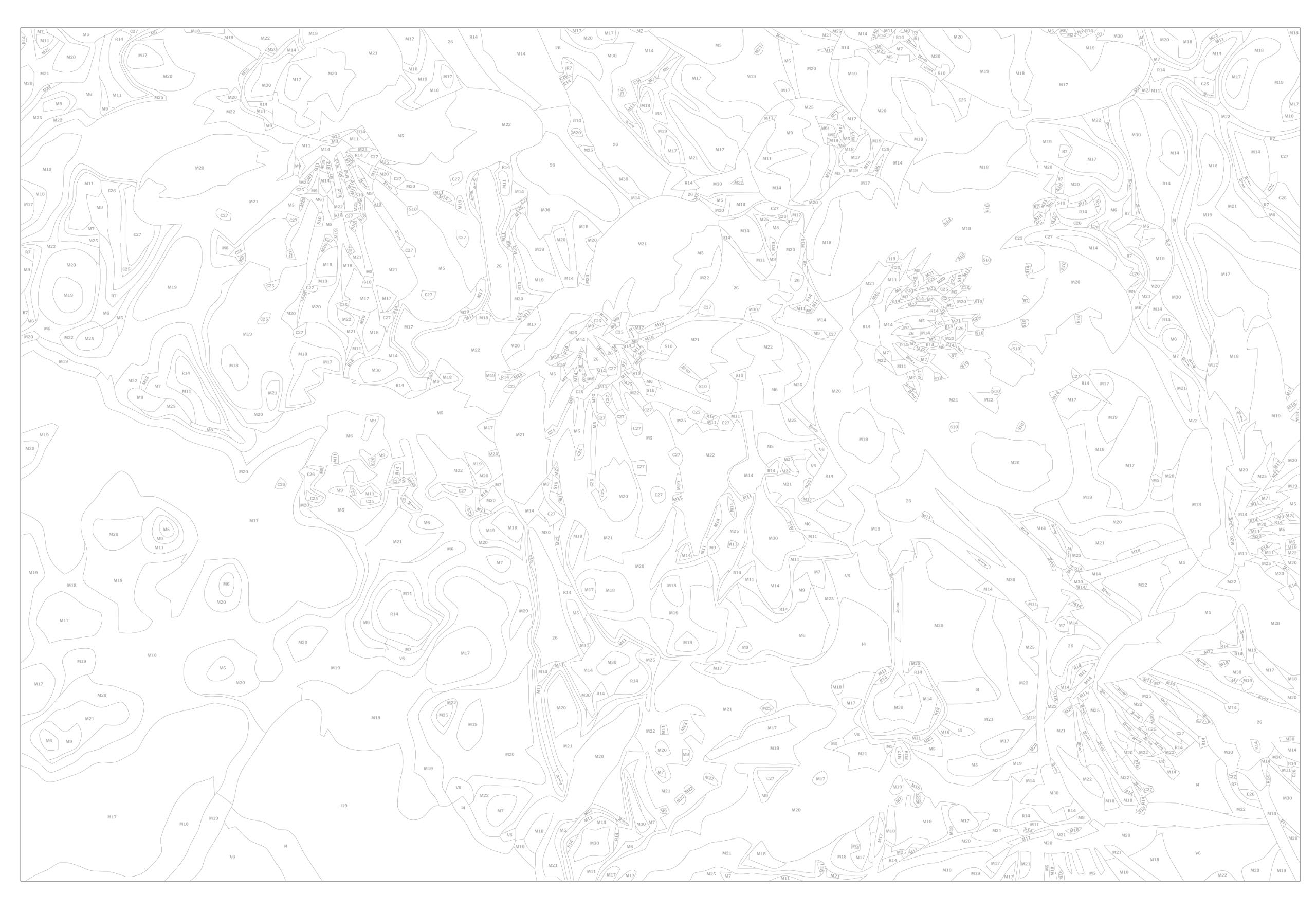 murando - Quadro da Dipingere con i Numeri Adulti Fiori 50x40 cm Dipinto con Numeri su Tela - Paint by Numbers - Quadri Numerati Bambini Moderni - Kit Pittura - Idee Regali