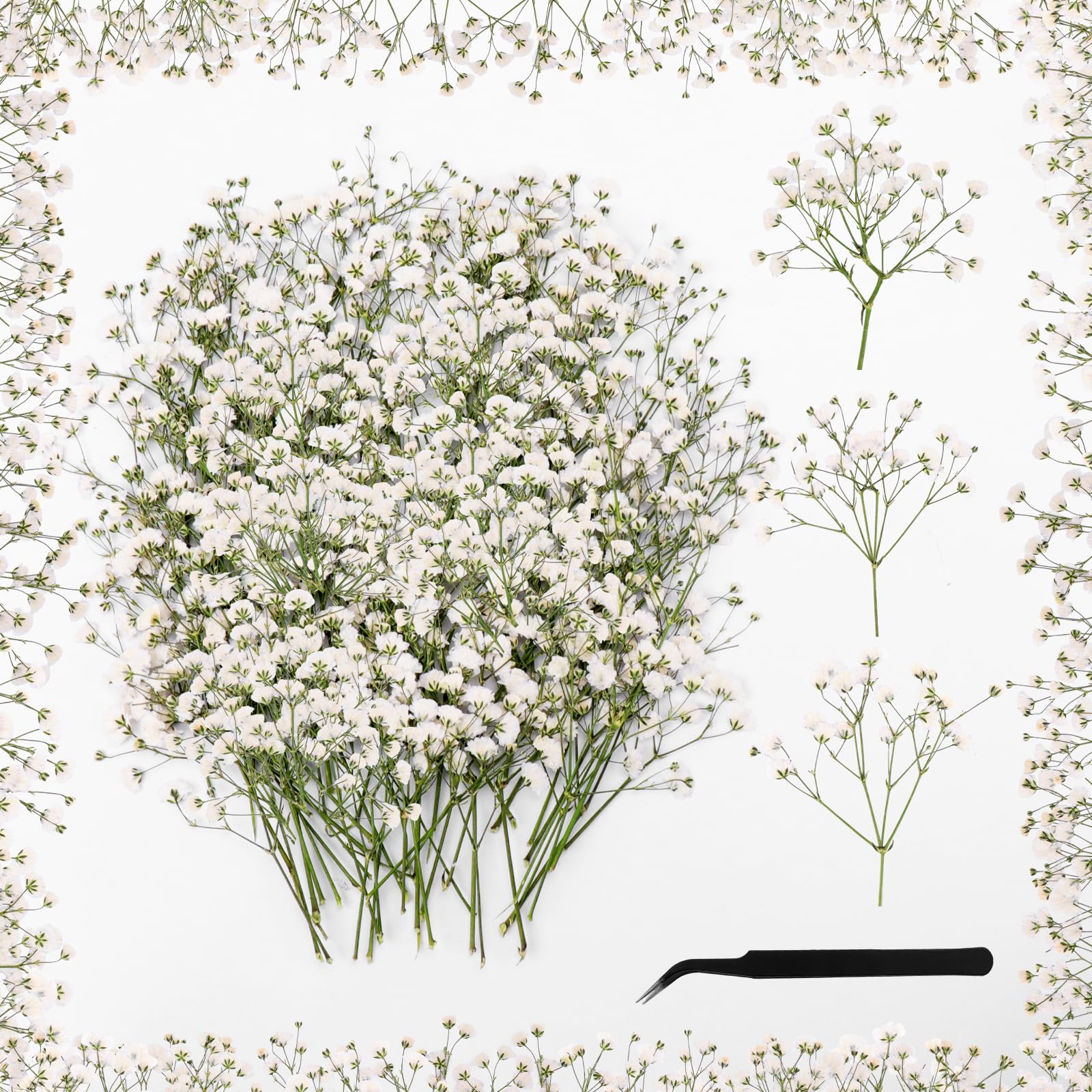 Gypsophila Essiccata - 50 Fiori Secchi Bianchi Per Resina, Candele E Decorazioni (8-10cm) - Foto 6