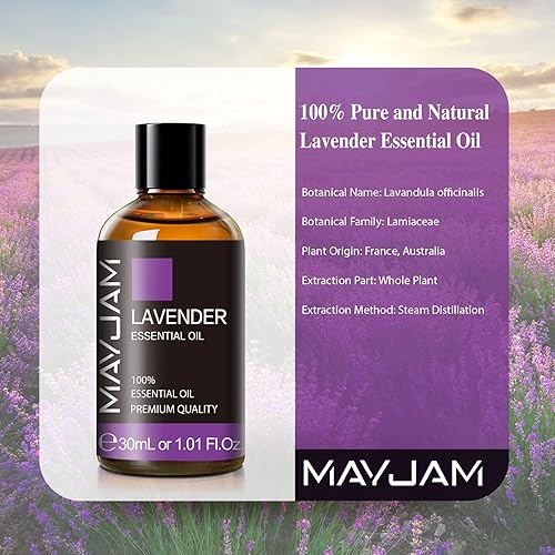 Miniatura 3 de Lavender Essential Oil 30ML 1.01FL.OZ, MAYJAM Pure Aromatherapy Lavender Oil for Massage, Diffuser, Soap Making, Long Lasting Scents