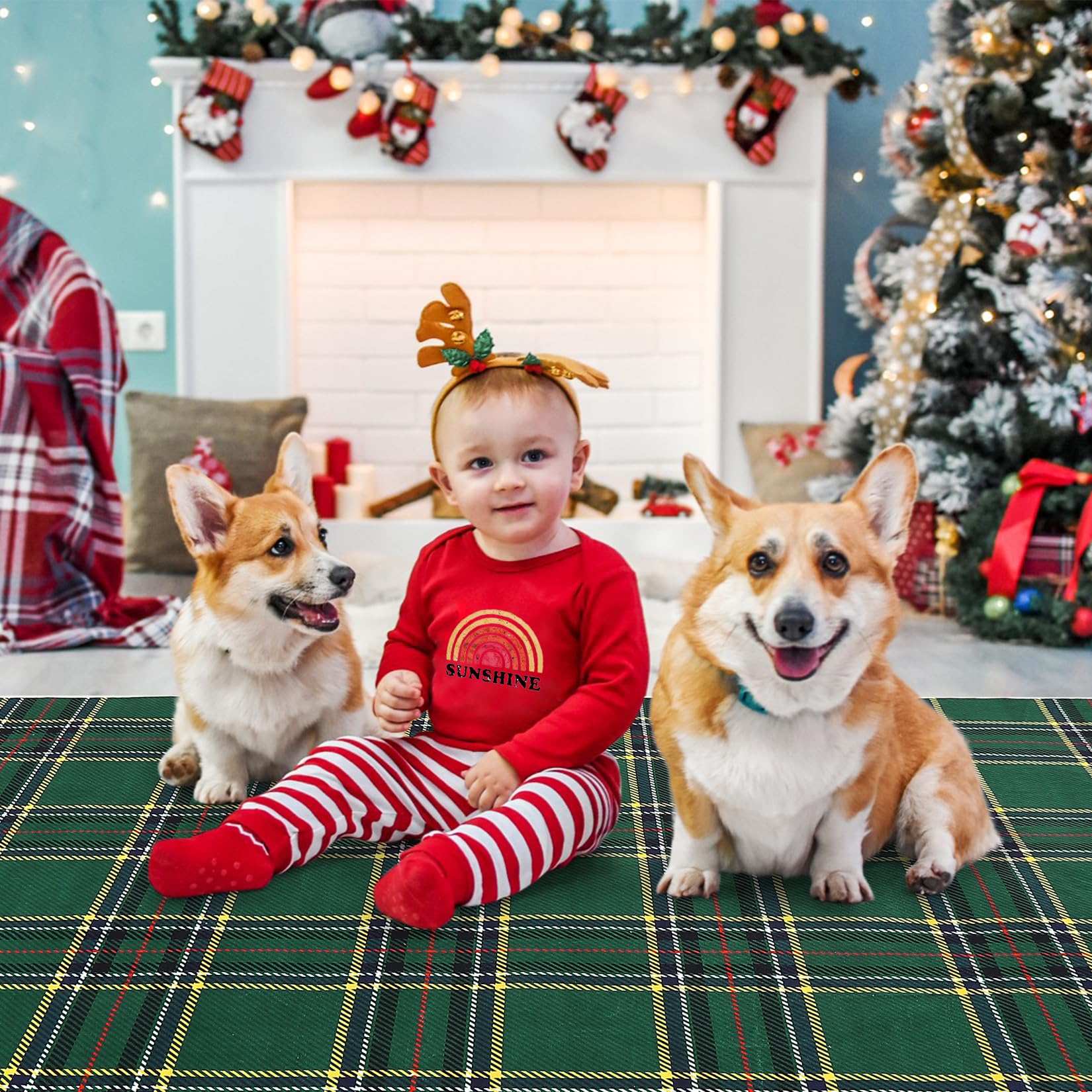 Amazon.com: ROYHOME Christmas Area Rug 5x7 Feet Xmas Buffalo Plaid 