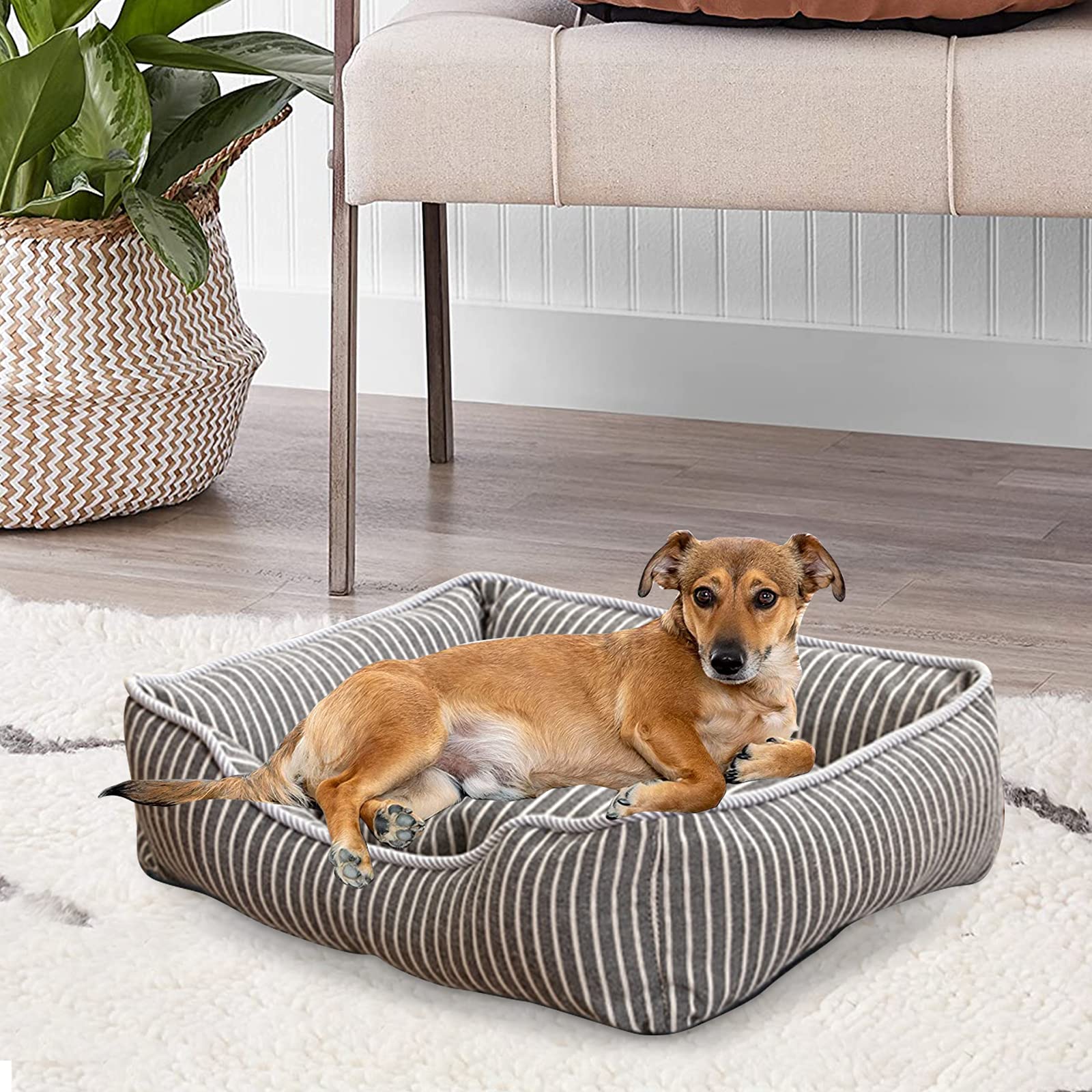 PETCUTE Panier pour Chien Durable et Confortable,Lavable Coussin pour Chien et Chats,Lavable en Machine,Respirant Lit pour Chien avec Antidérapant Bas,avec Couvercle Amovible