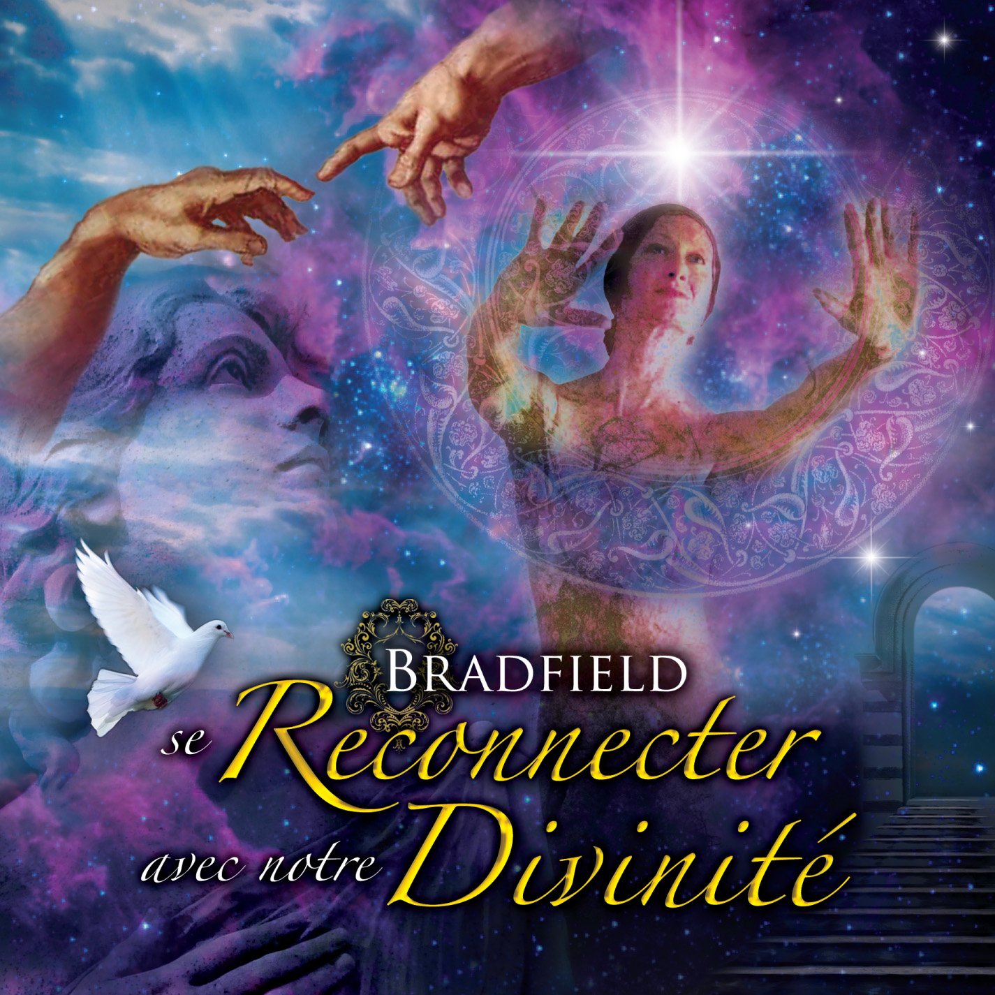 Se Reconnector a Notre Divinite Audio Book [Audio CD] Bradfield