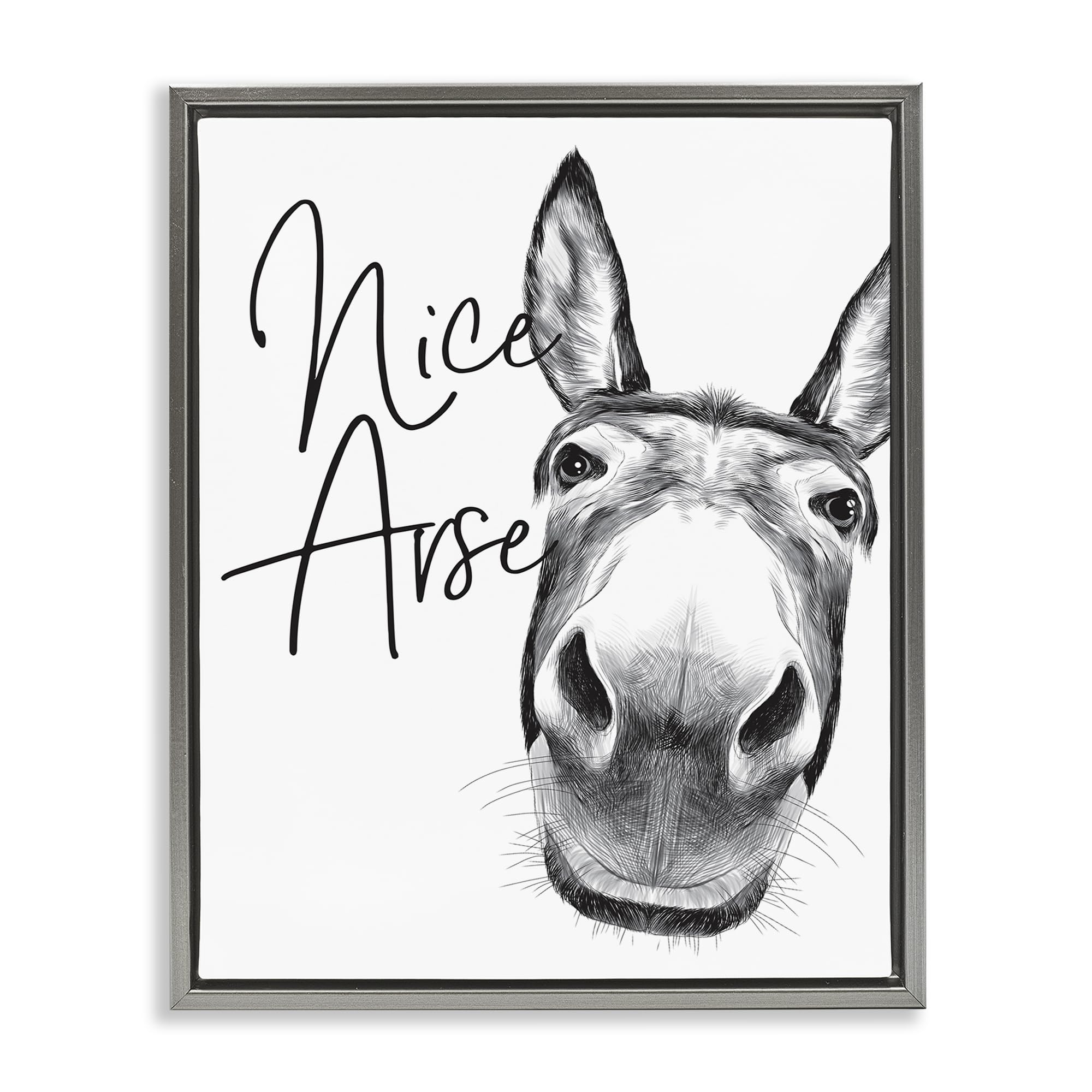 Donkey Bathroom Humor Comic, 25 x 31 Inch Canvas in Floater Frame