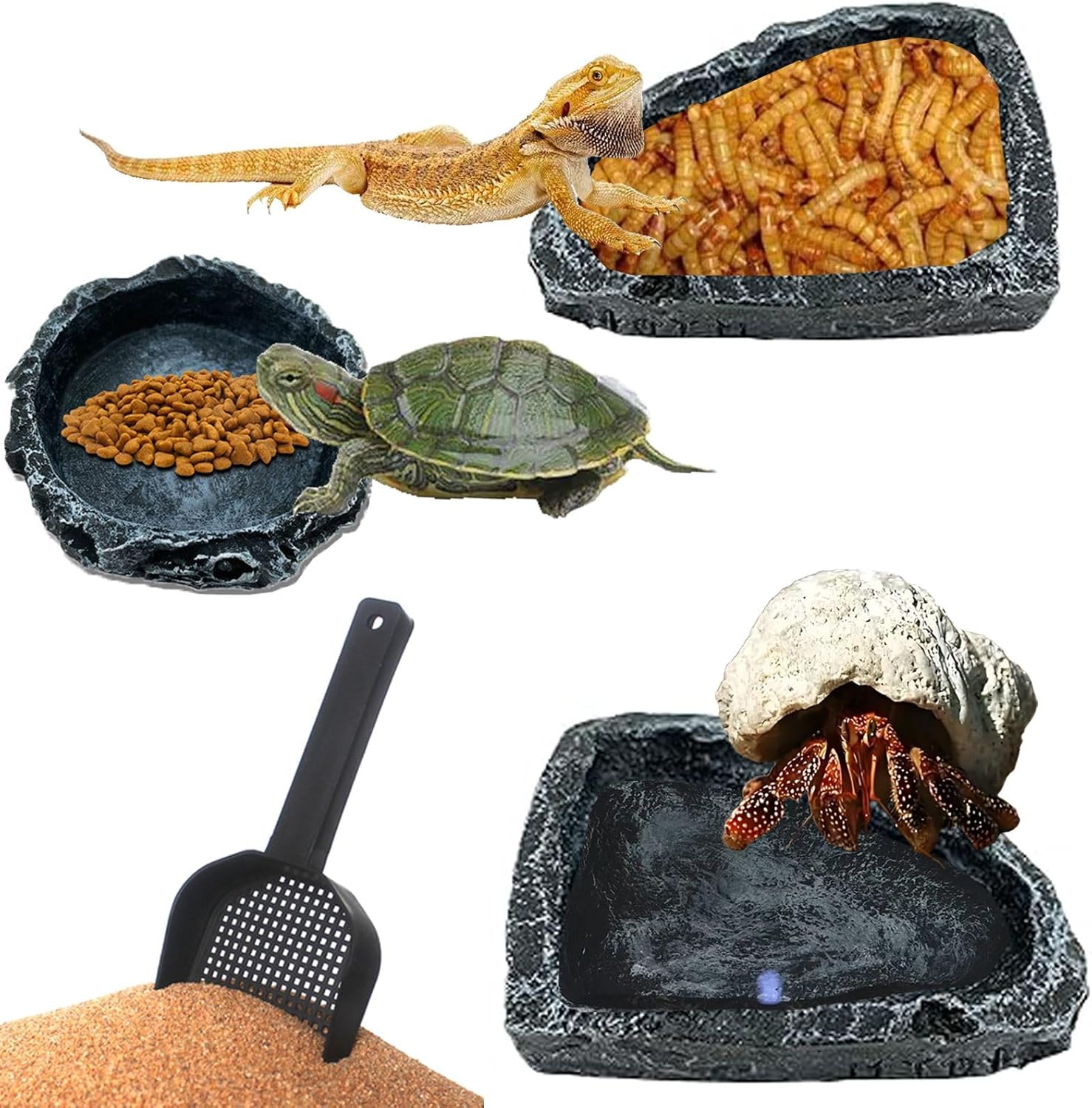 4 Pack Corner Reptile Water Dish Reptile Food Bowl Hermit Crab Food and Water Bowl Small Reptile Feeding Dish for Lizard Bearded Dragon Leopard Gecko Turtle Terrarium Accessories with Scoop