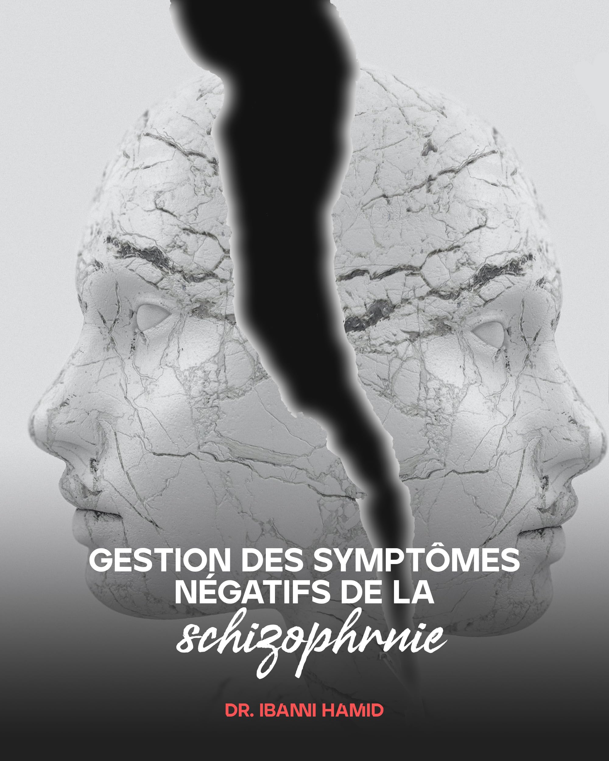 Livre Gérer les symptomes négatifs dans la SCZ