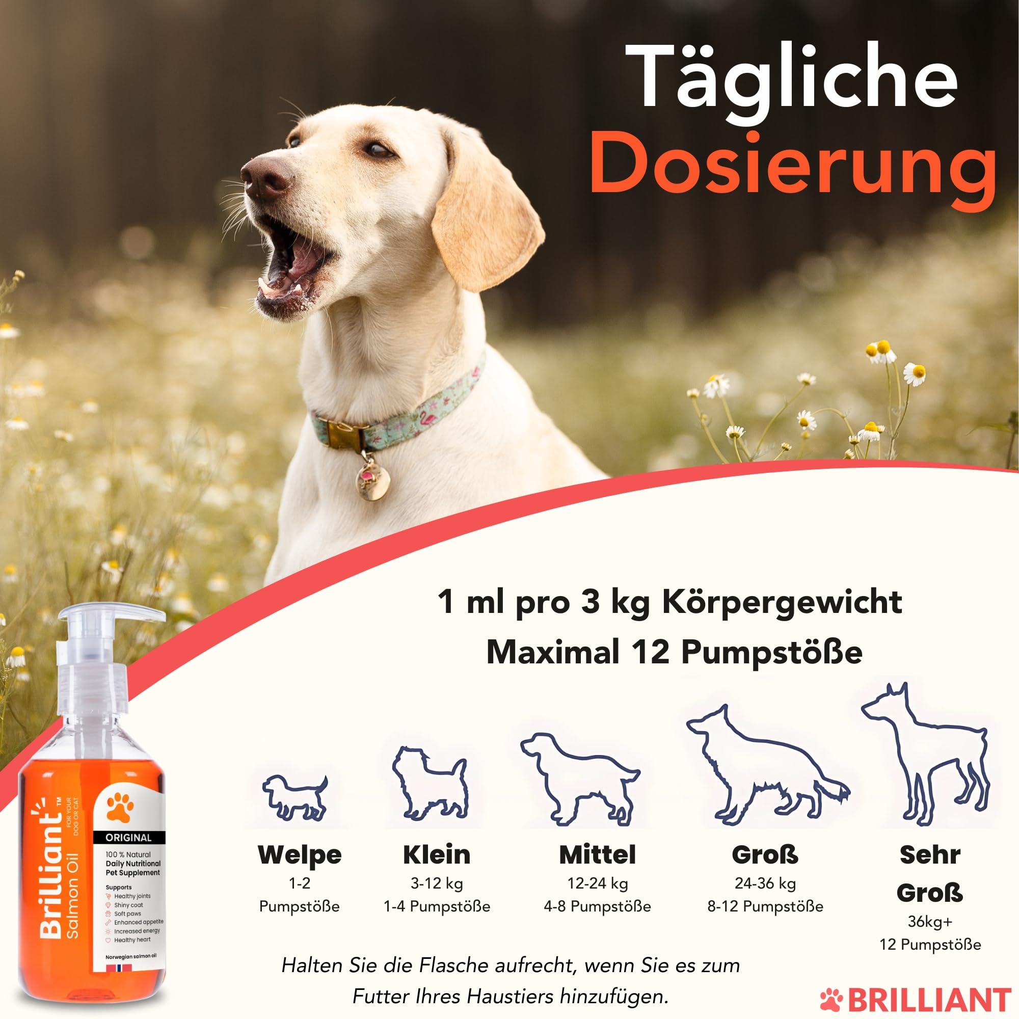 Hofseth BioCare BRILLIANT | Norwegisches Lachsöl für Katzen und Hunde Fördert glänzende Mäntel | Verbesserter Appetit | Weiche Pfoten | Energie erhöhen | Nicht GVO | 2 x 300ml