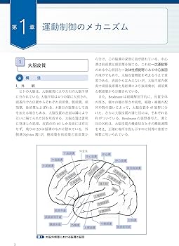 裁断済み　小動物の神経疾患救急治療 裁断済み 小動物の神経疾患救急治療 本