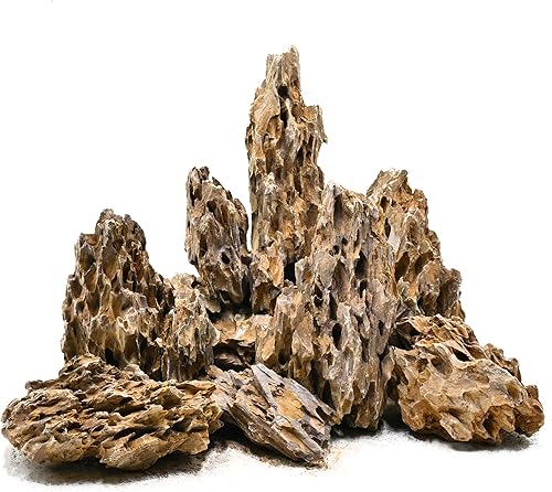 Miniatura 9 de Roca de piedra de dragón de 2 a 4 pulgadas, adecuada para jardines en miniatura o de hadas, acuarios, ferrocarriles modelo y juegos de guerra,