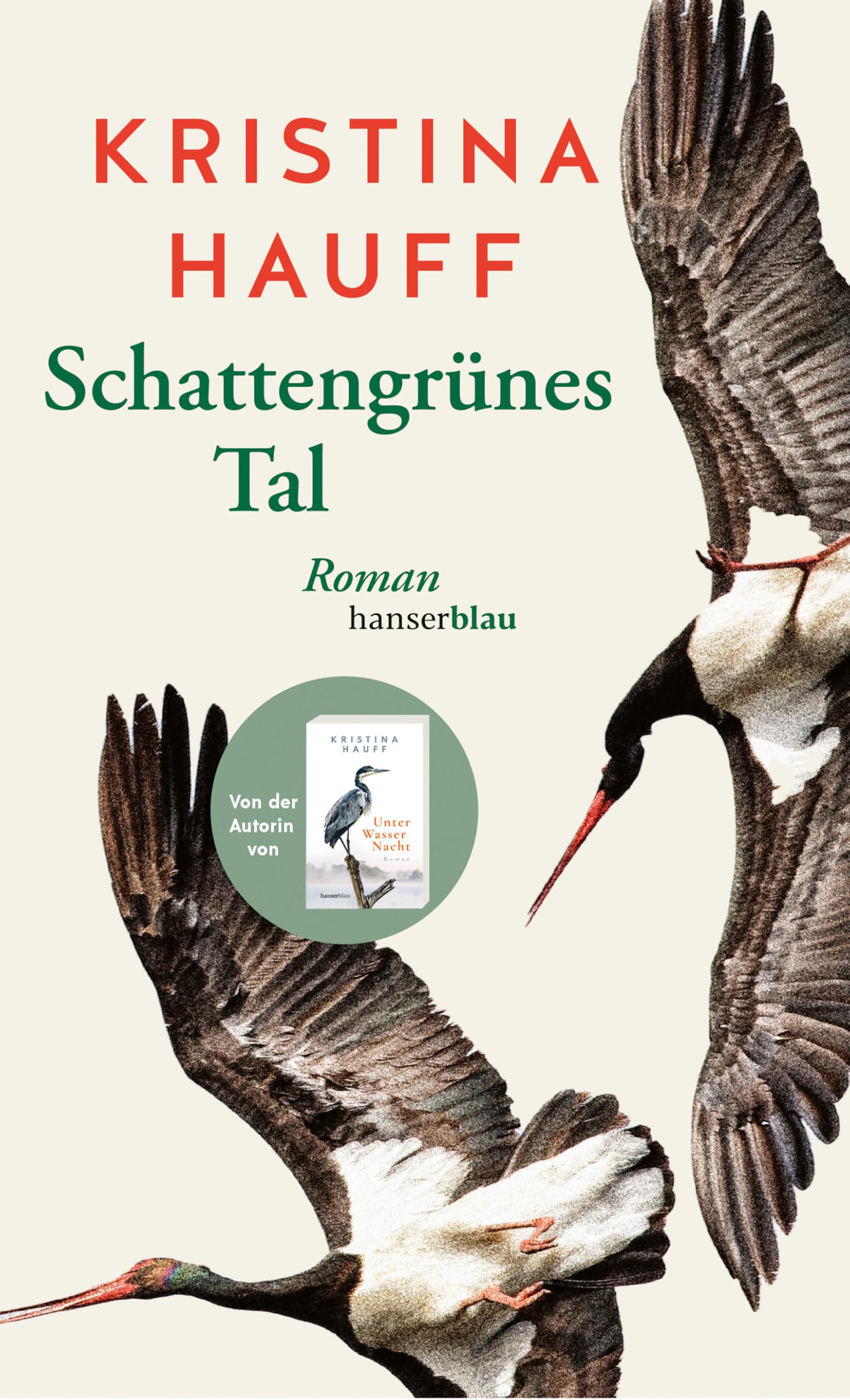 Schattengrünes Tal: Roman