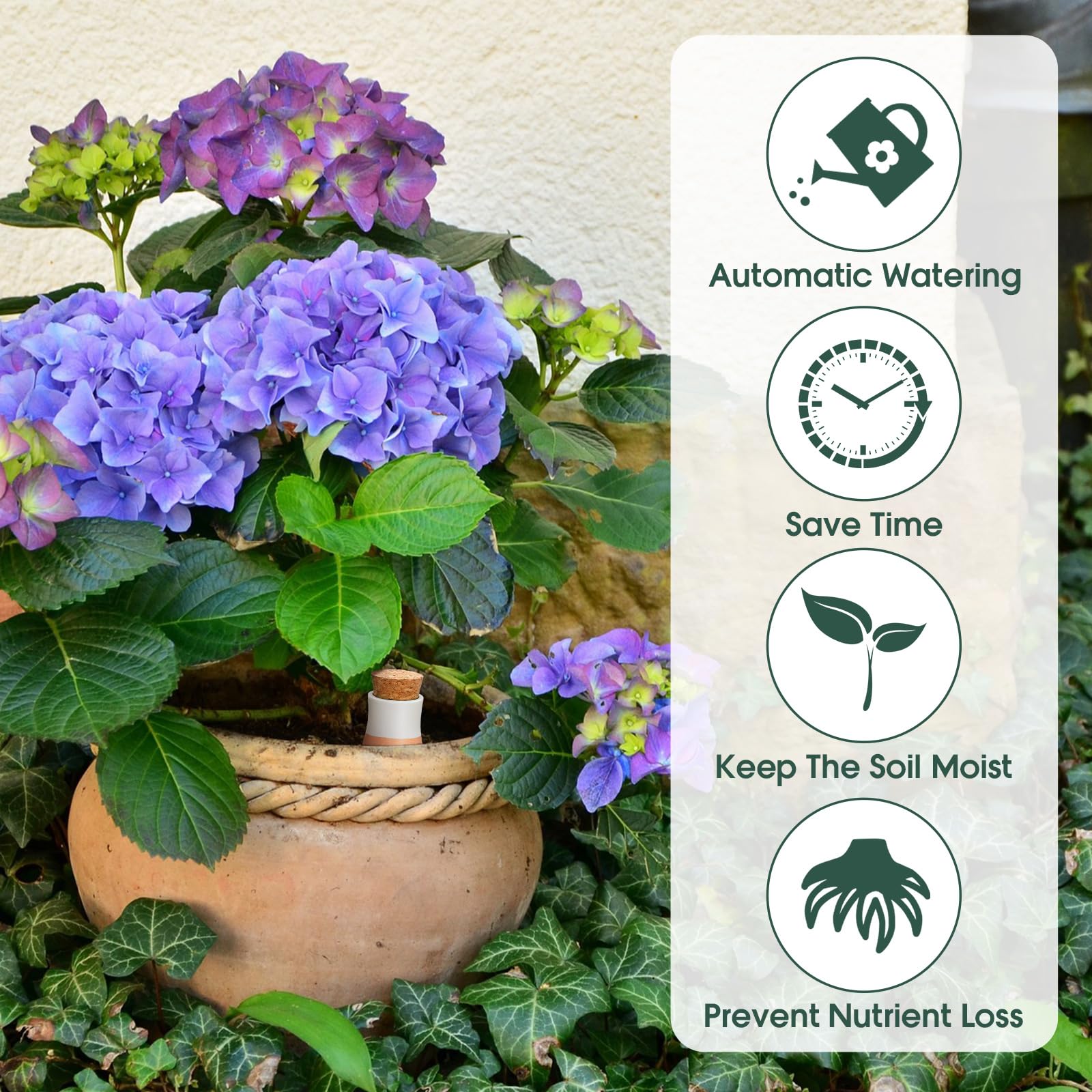Tioncy Ollas Lot de 6 grands pots d'arrosage en terre cuite 382,7 g pour plantes d'intérieur et d'extérieur